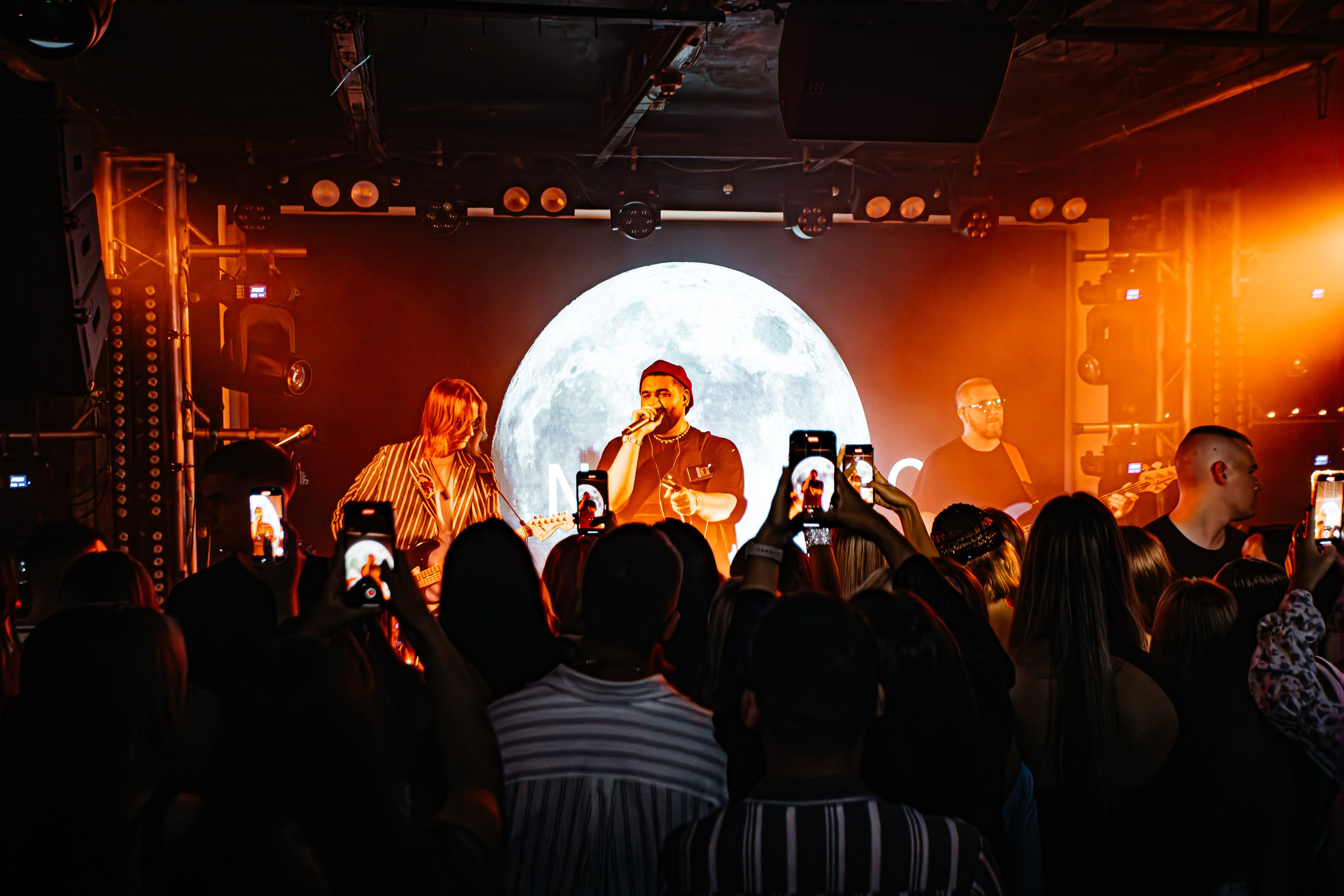 Чайка_на_пляже_Андро_Ялта_24.08.2024. Аминов Руслан | Фотограф