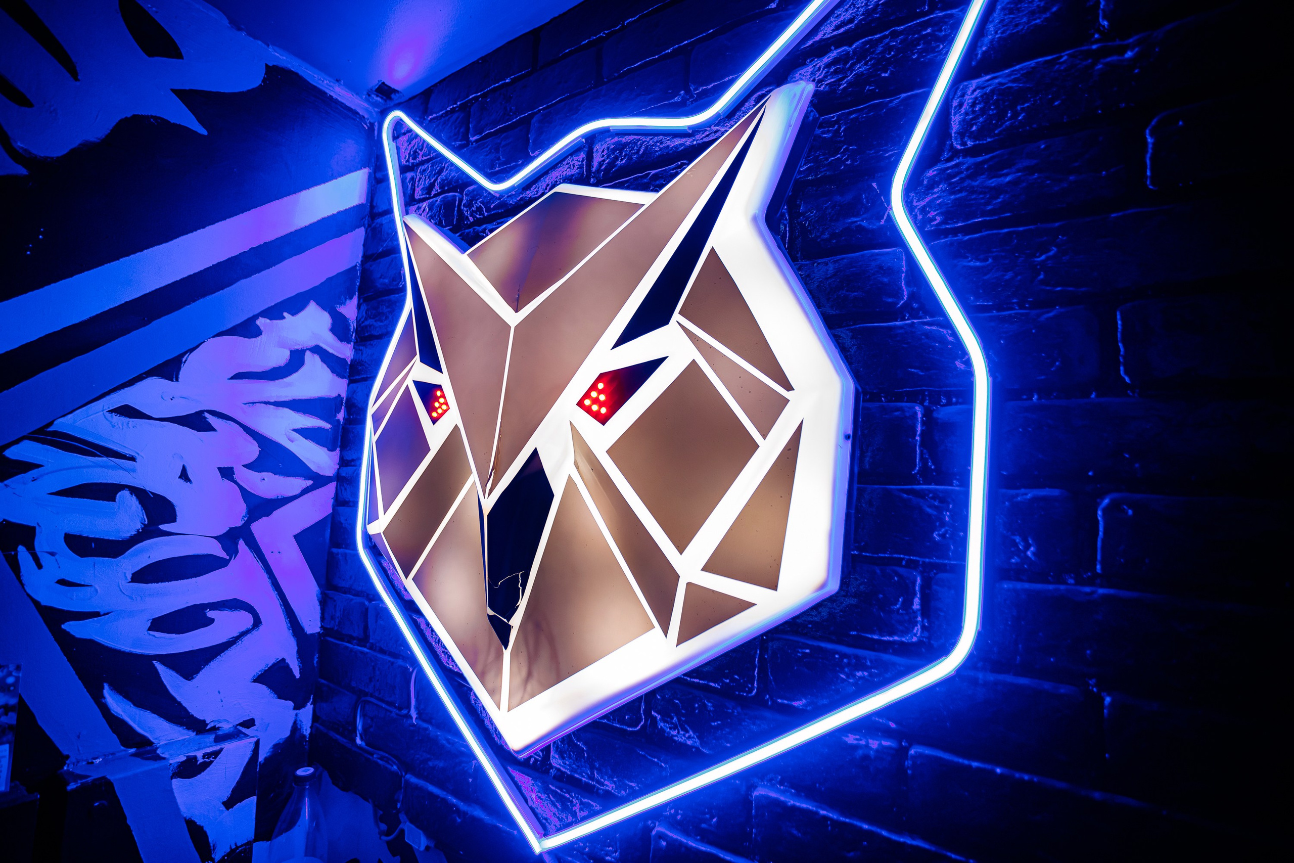 23 февраля_НК Sova_Симферополь_23.02.2025. Аминов Руслан | Фотограф