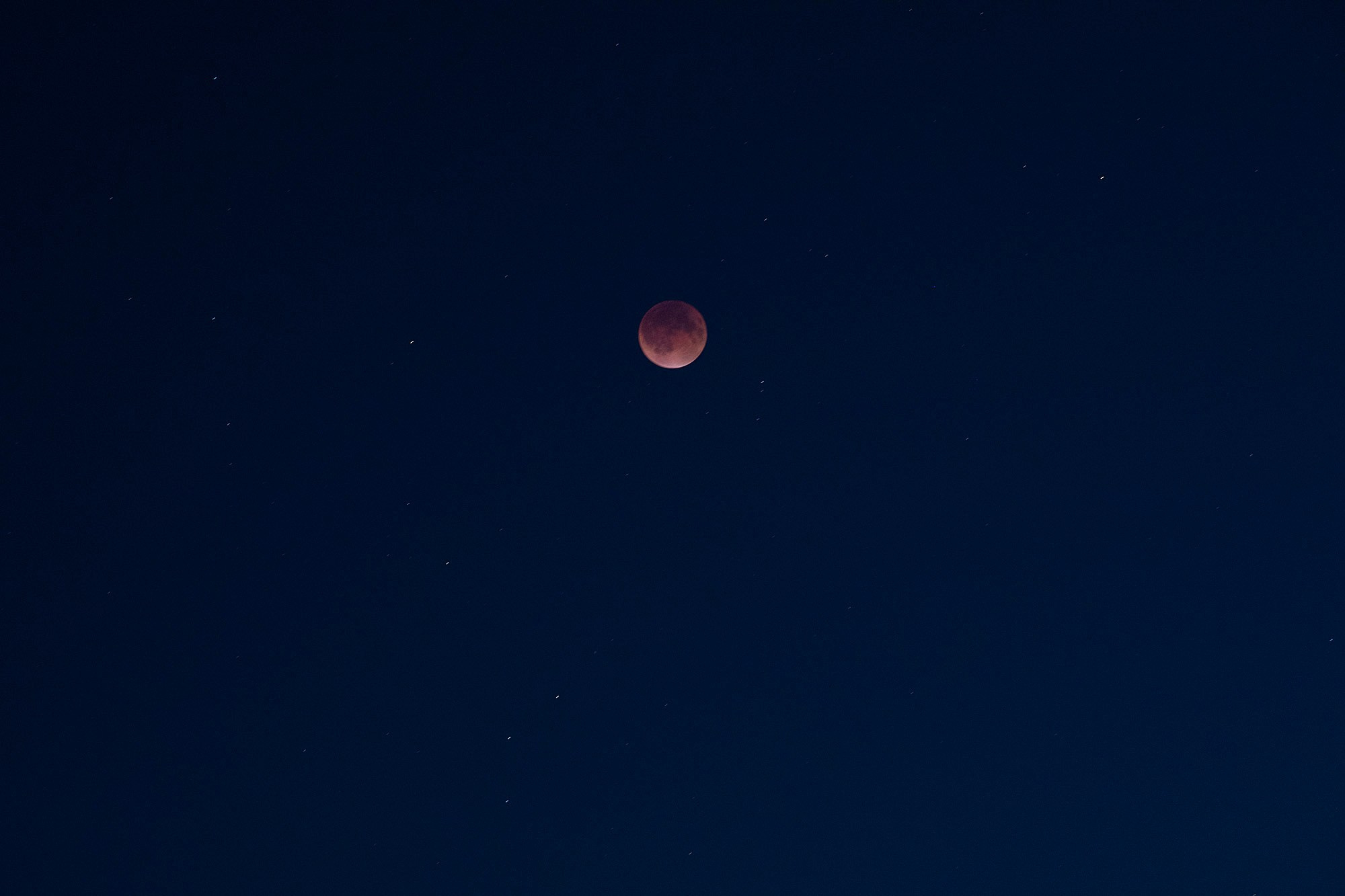 Пейзаж, природа. Портретный фотограф Станислав Жуков | Москва