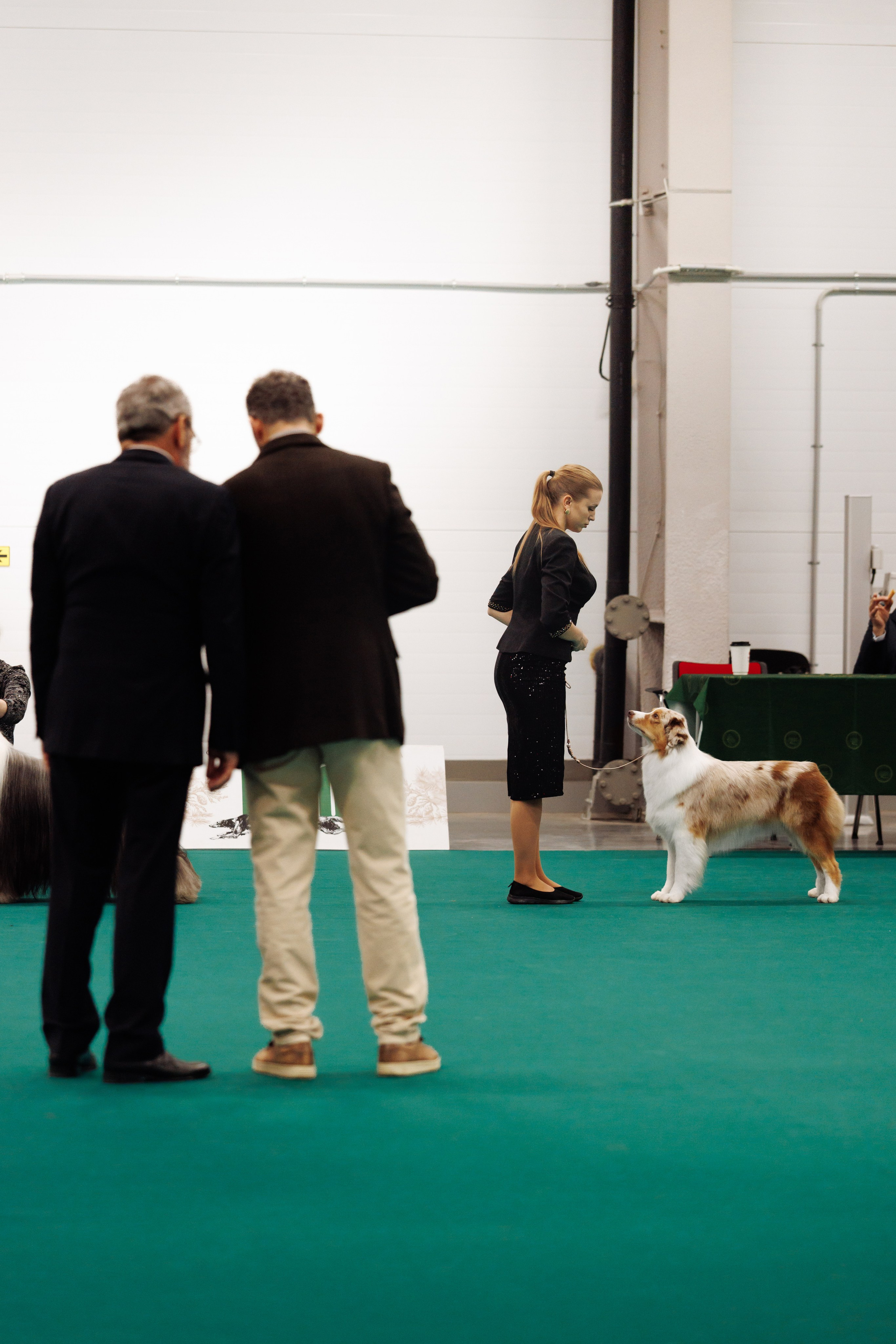 29-30.11.2025 — Казань «Зилант». Фотограф-анималист Саша Вязьмина