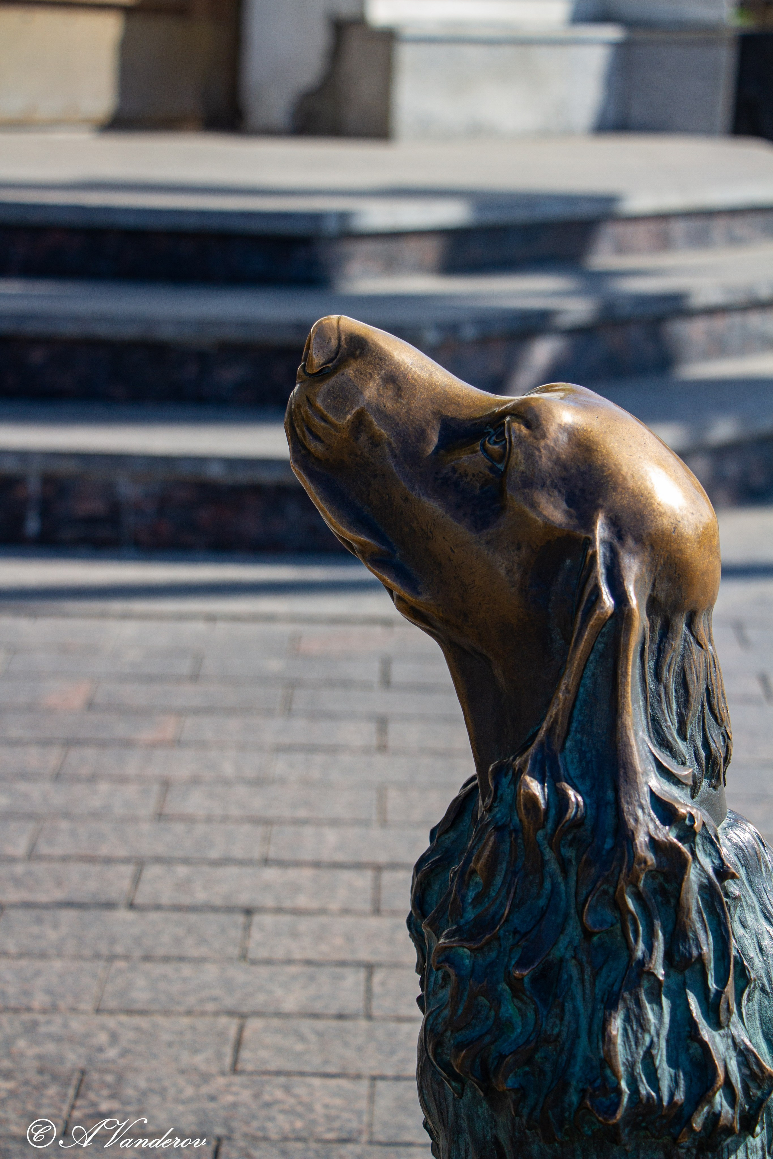 Омск 2023. Фотограф Омск | Александр Вандеров