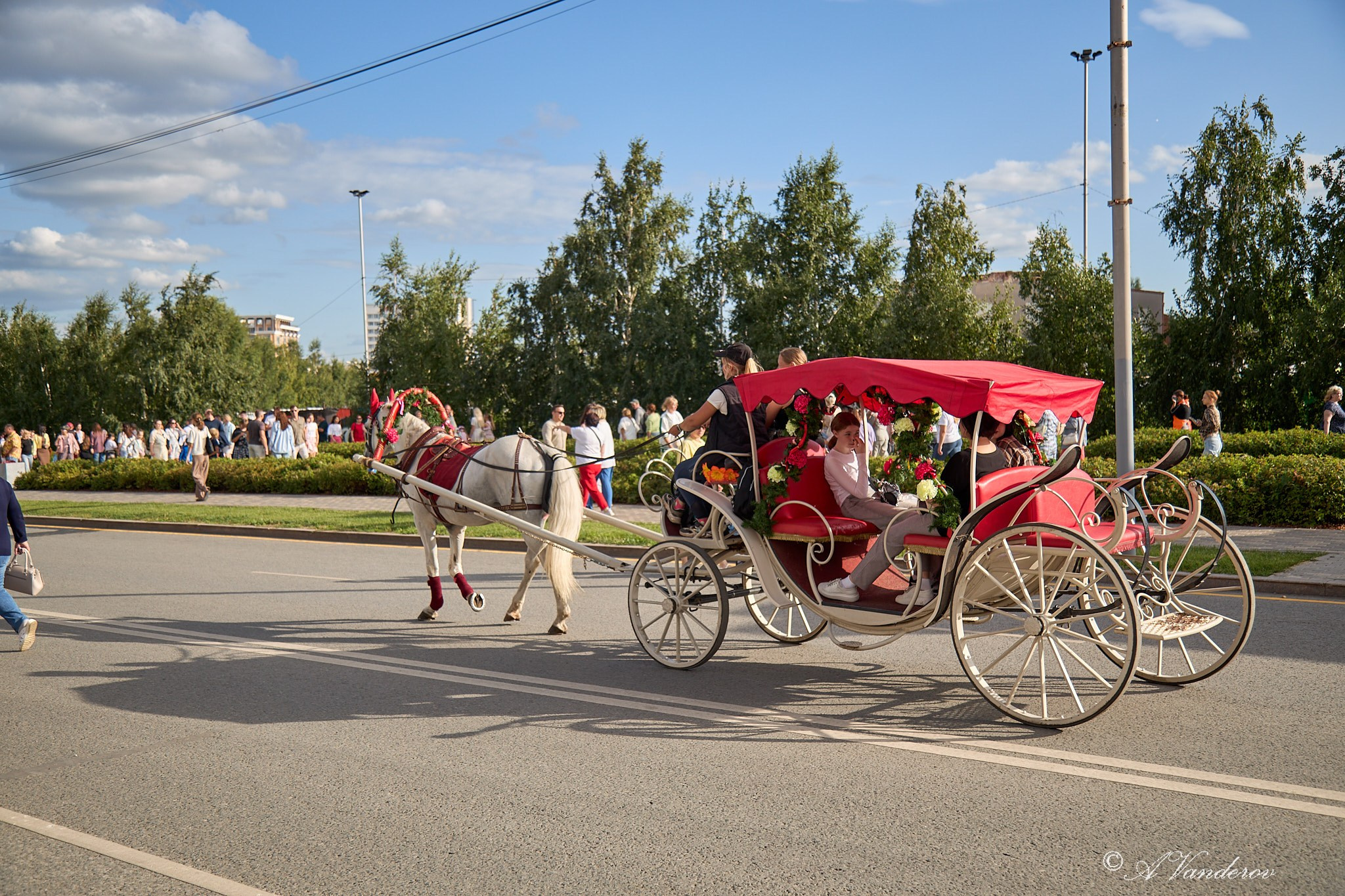 День города 2025. Фотограф Омск | Александр Вандеров