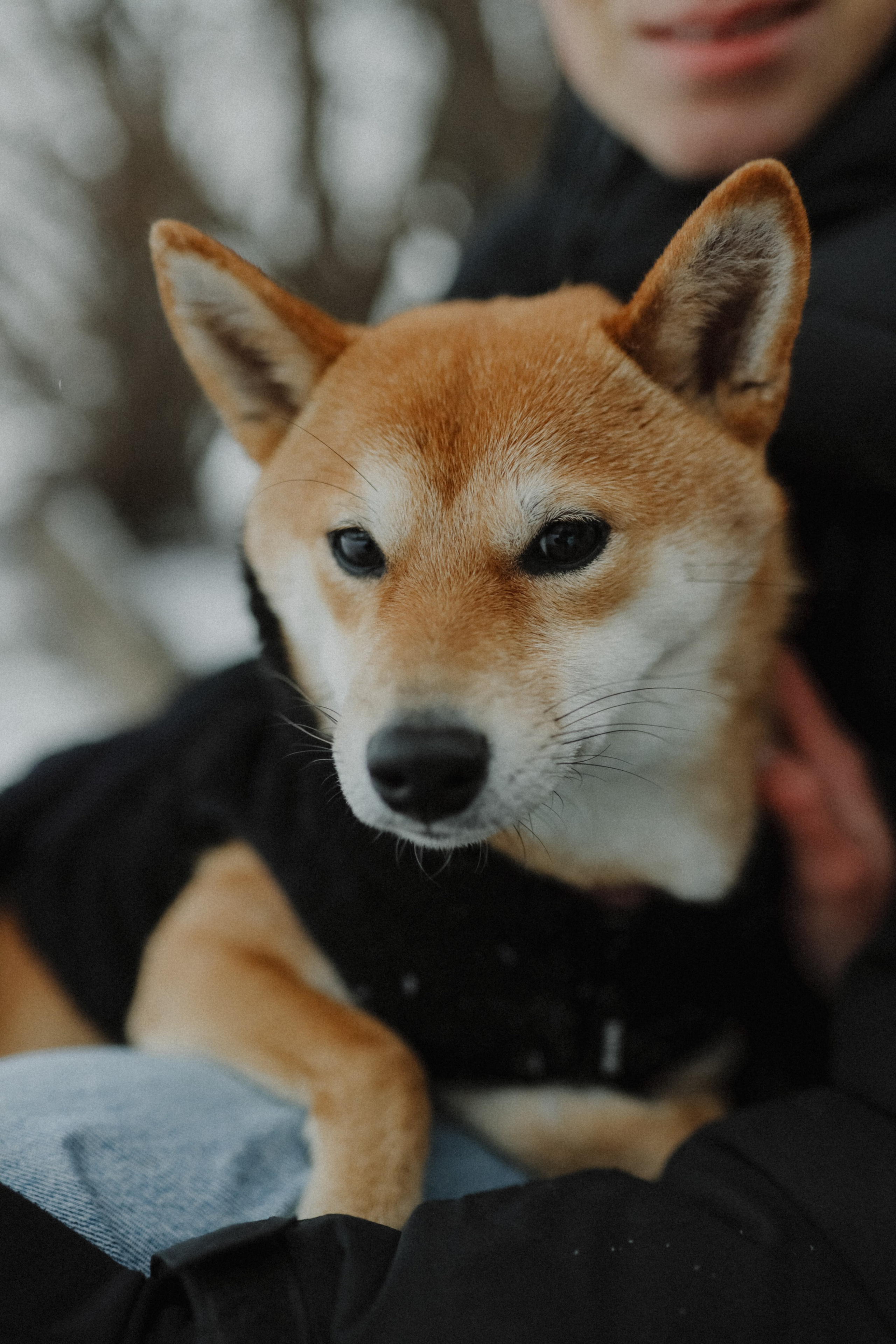 Покажи мне любовь. Свадебный и семейный фотограф в Варшаве