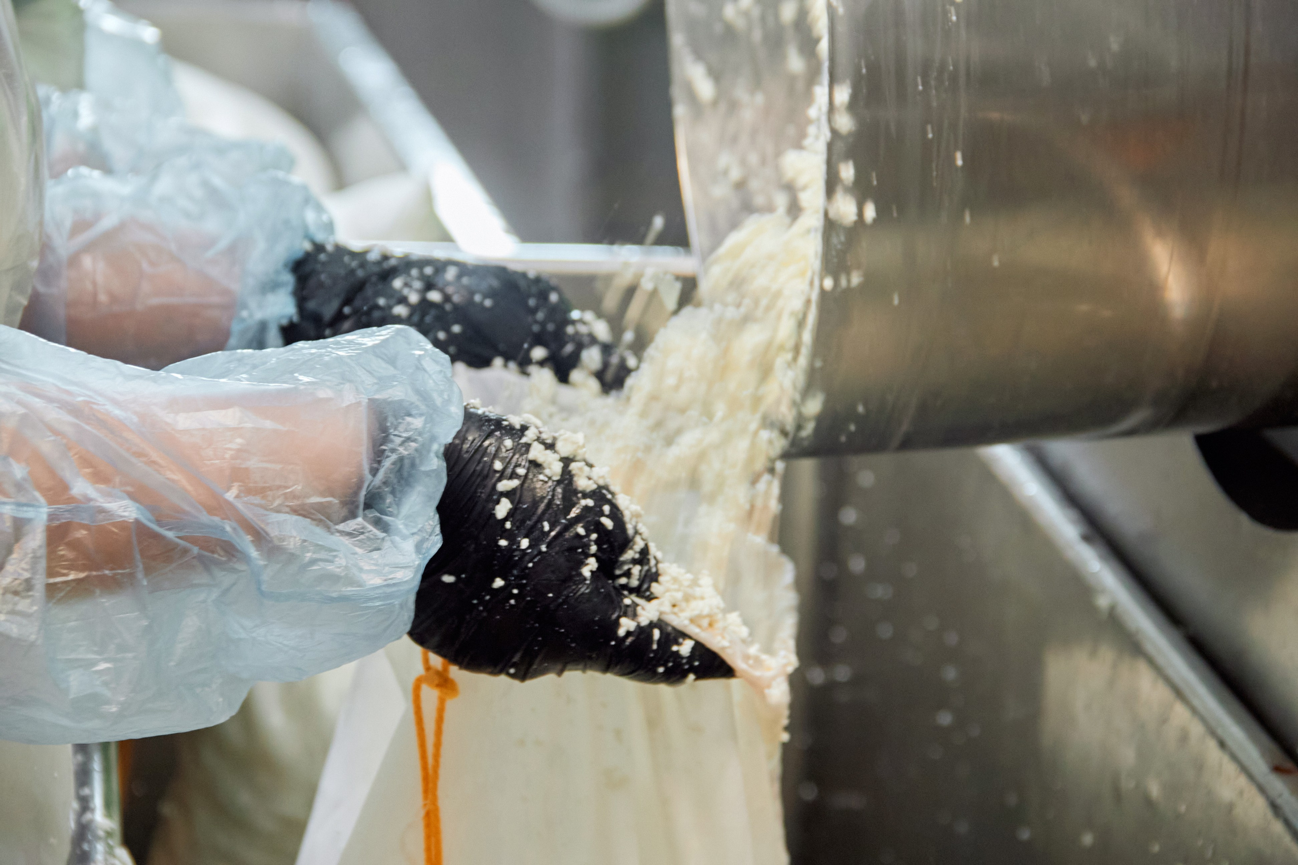 Экскурсия «Агроферма-Катынь». Фотограф в Смоленске Ася Польшина