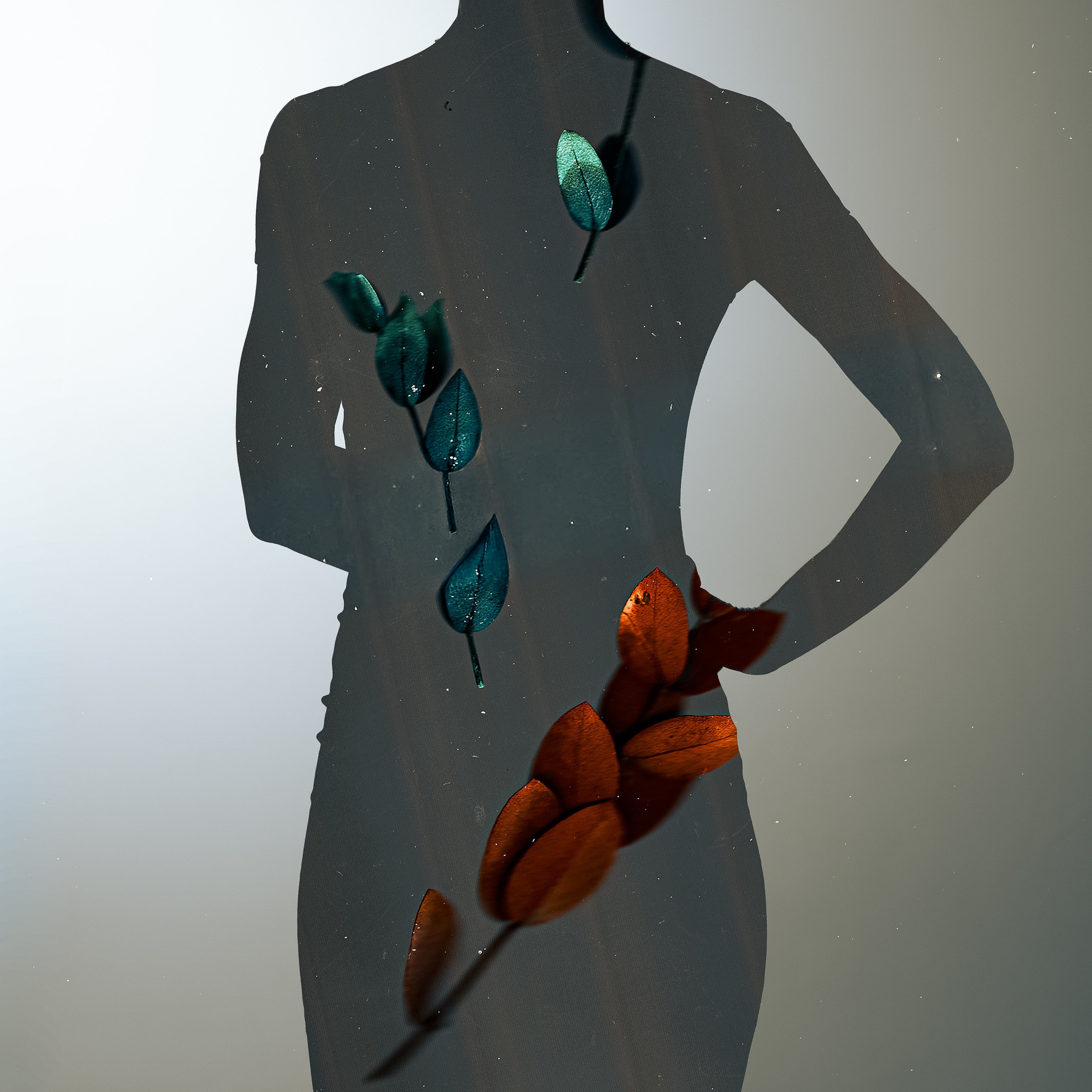 Гербарий снов. ElizabetArt — фотограф в Воронеже Елизавета Хлусова