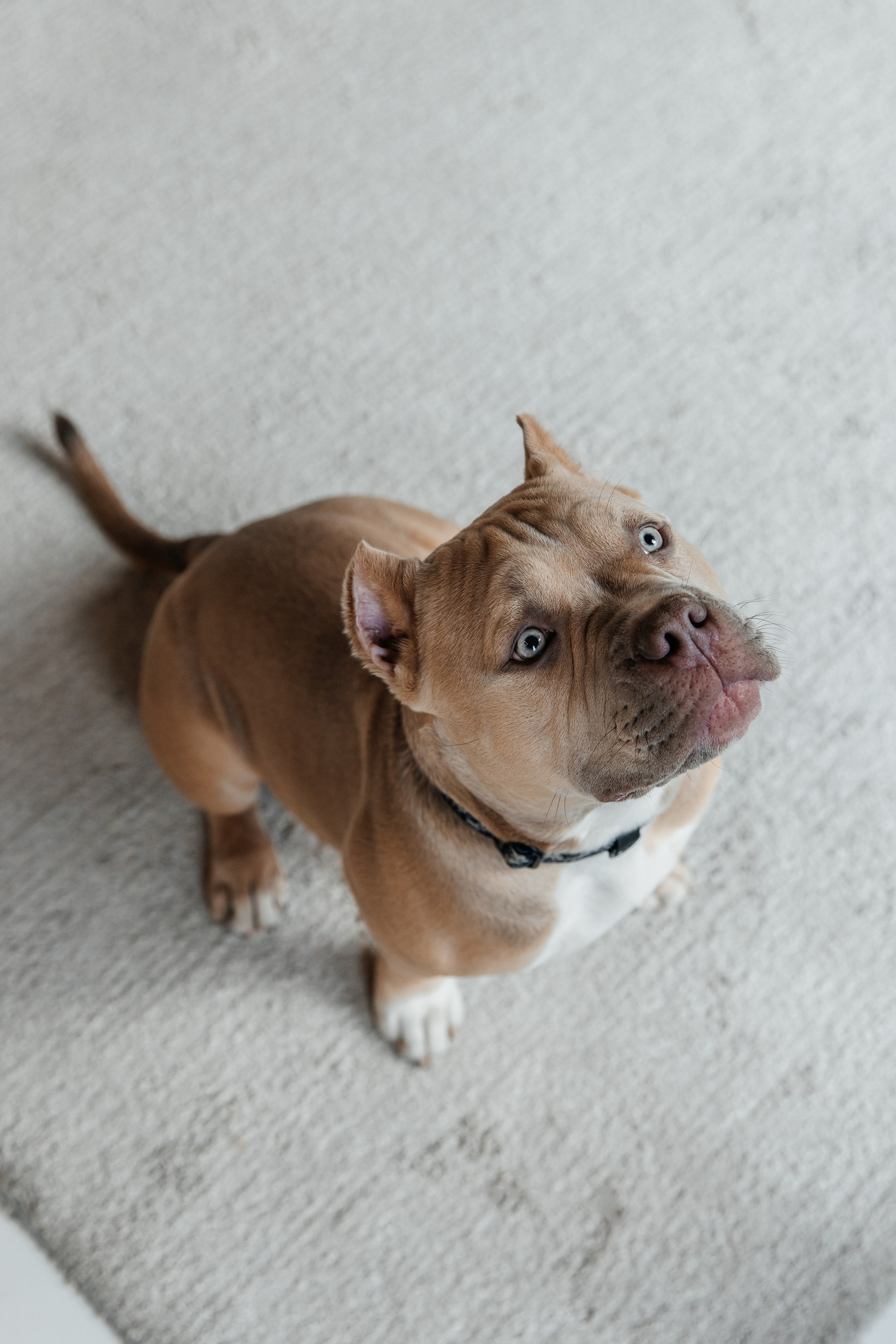 Злата|Александр|ЗЕВС. Фотограф Москва Шептаев Артём