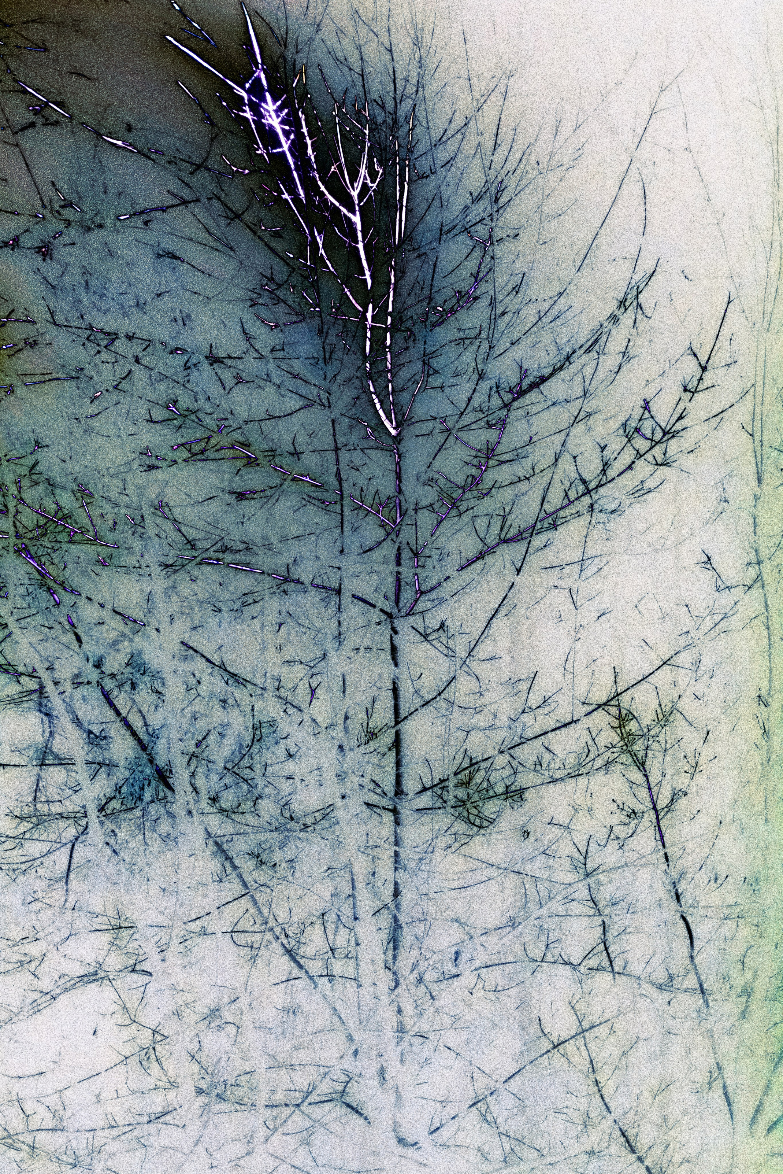 Расширение воздушных пространств. Анна Полонеева фотография фотохудожник визуальная художница портреты