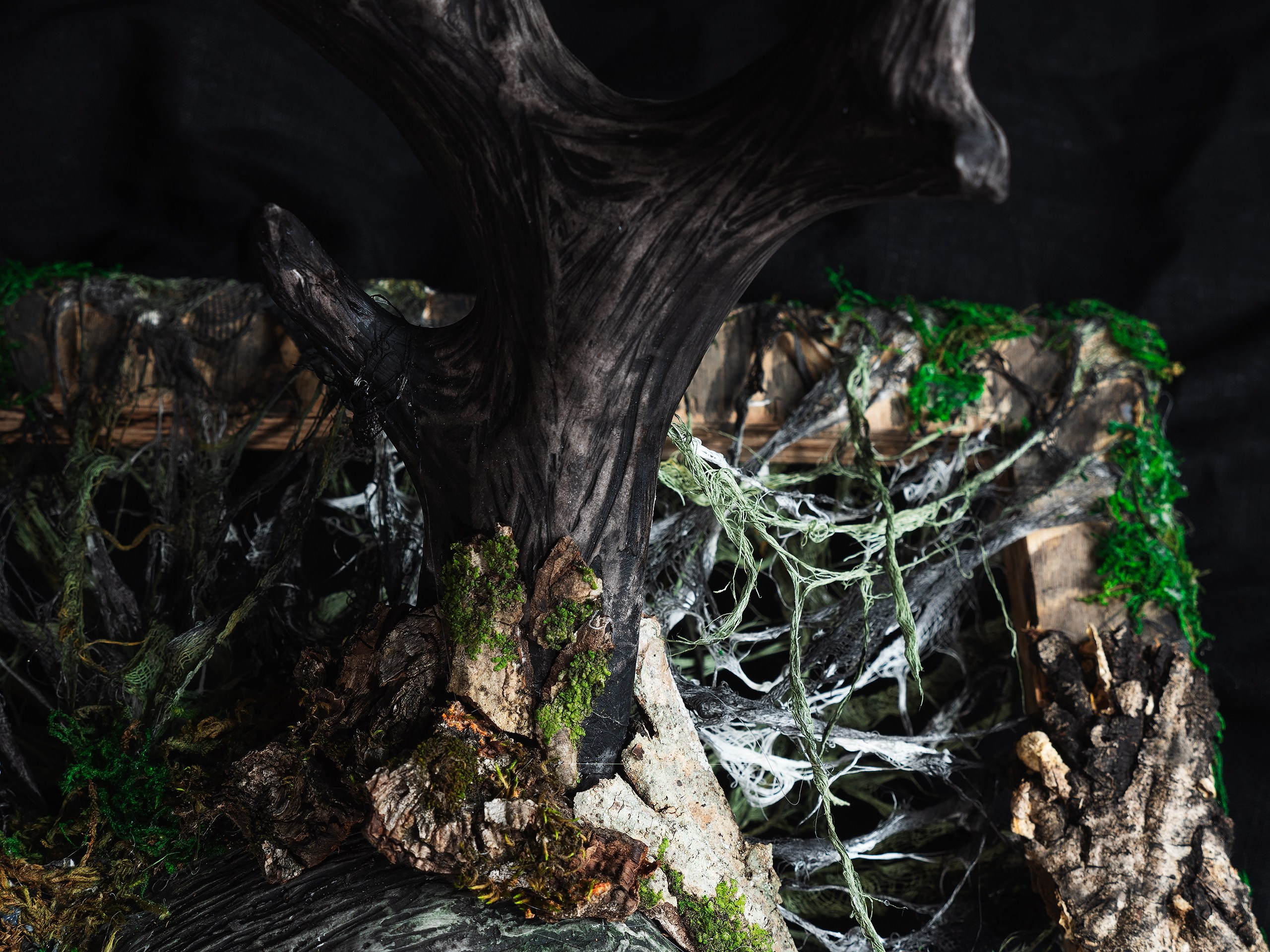 Картины. Фотограф анималист Никита Натальный