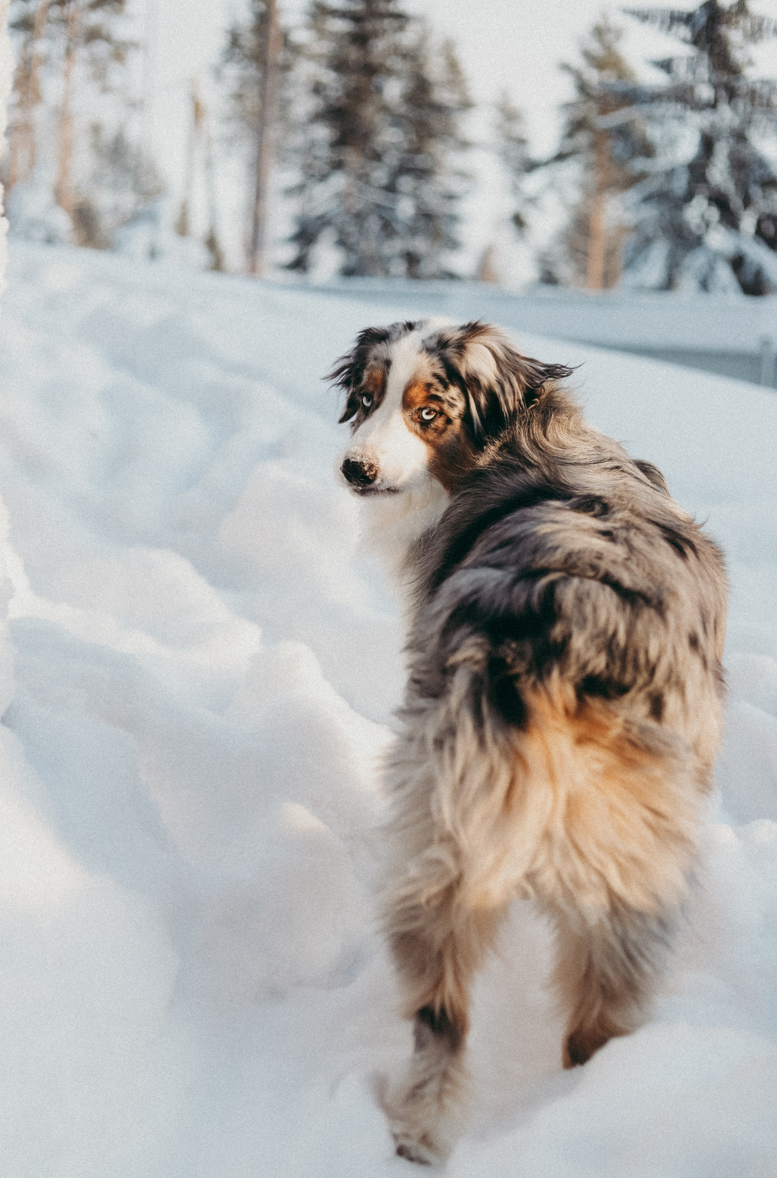Инна и Вера. Фотограф Москва и Санкт-Петербург