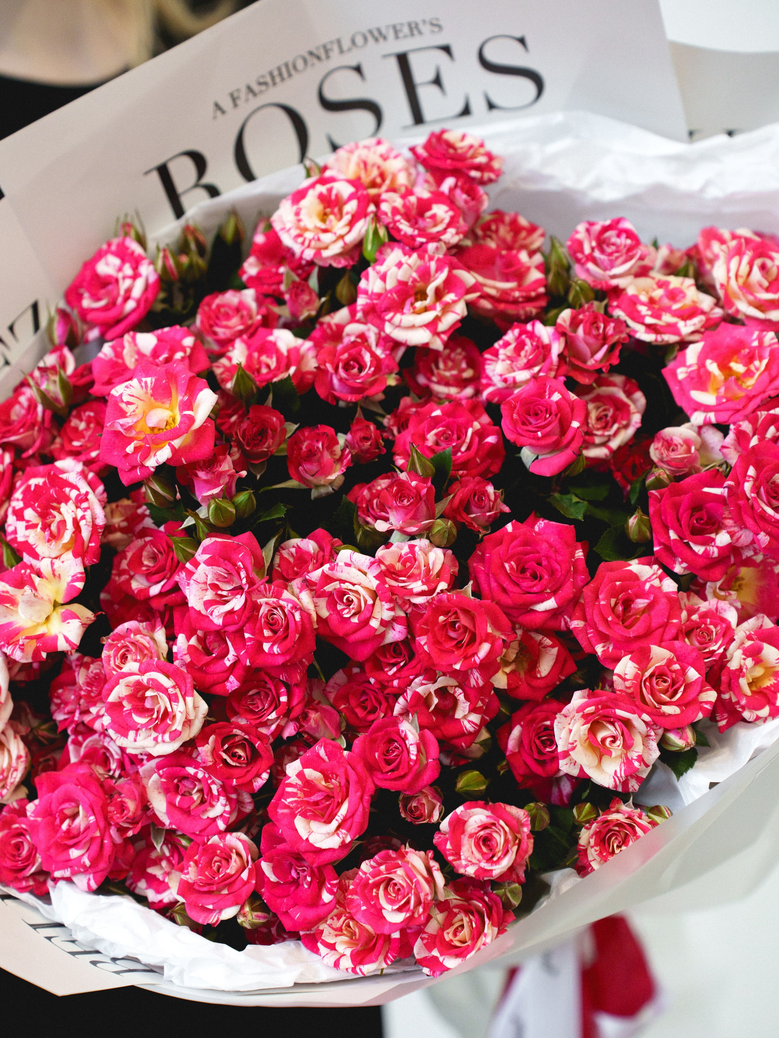 Цветы (контент к 14 февраля). Иван Упоров — фотограф, рилсмейкер чебоксары