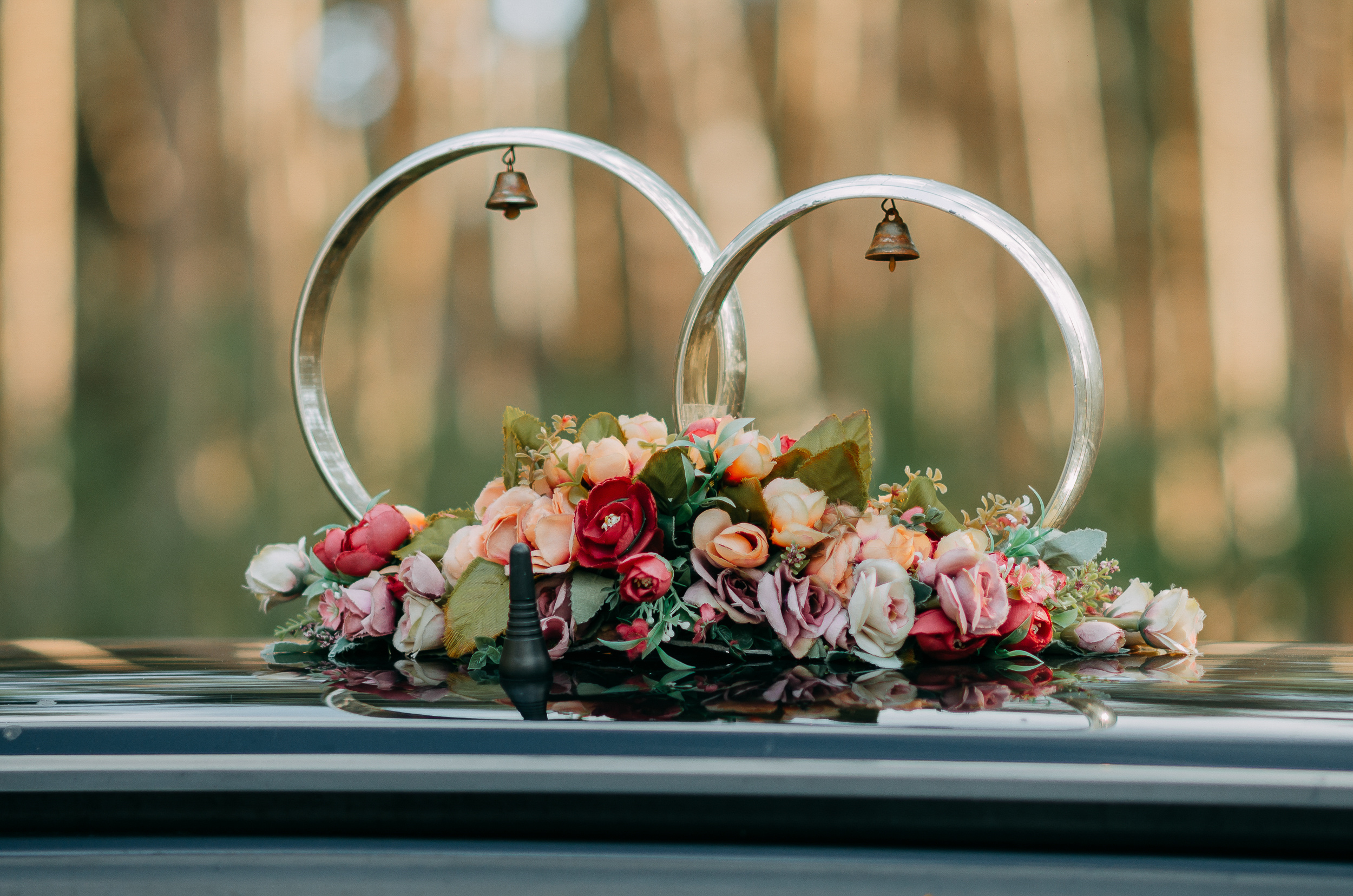 Елена и Антон. Свадебный и портретный фотограф в Белгороде Павел Яновский