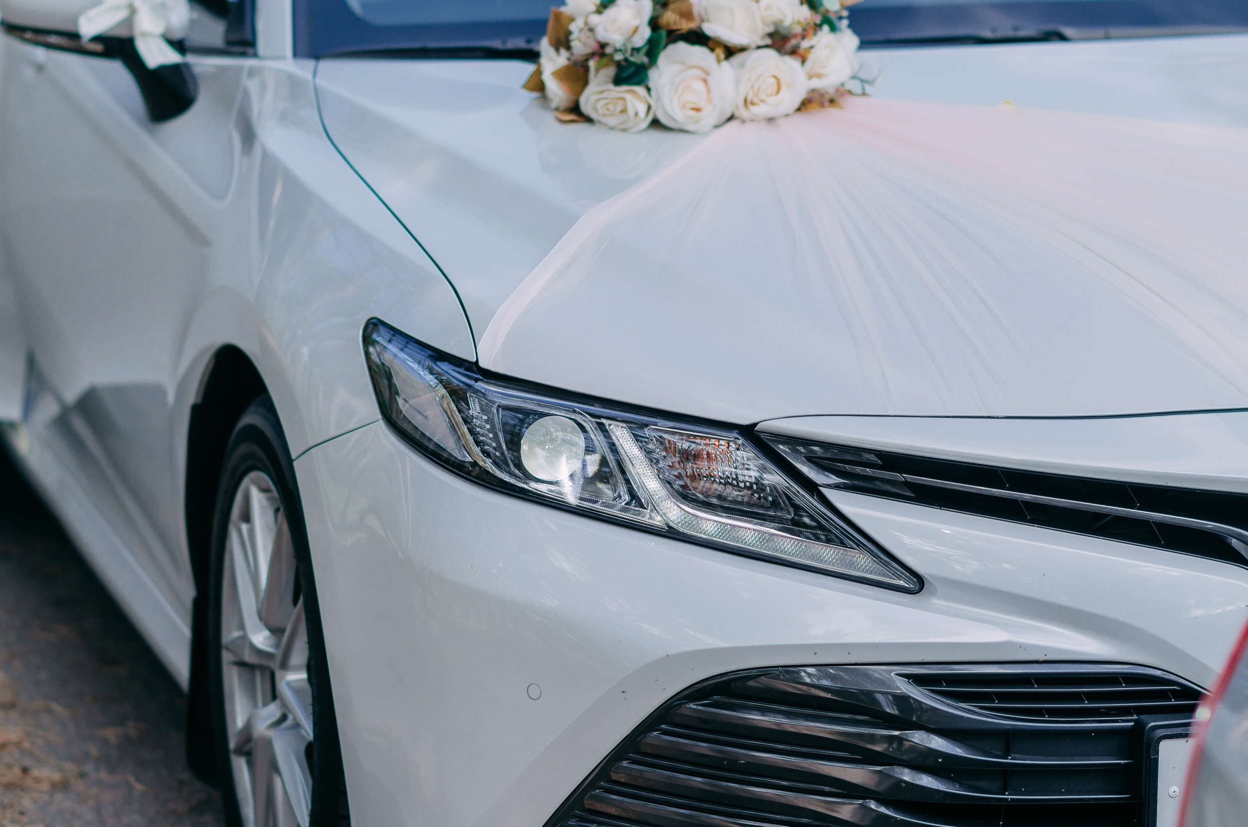 Марина и Сергей. Свадебный и портретный фотограф в Белгороде Павел Яновский