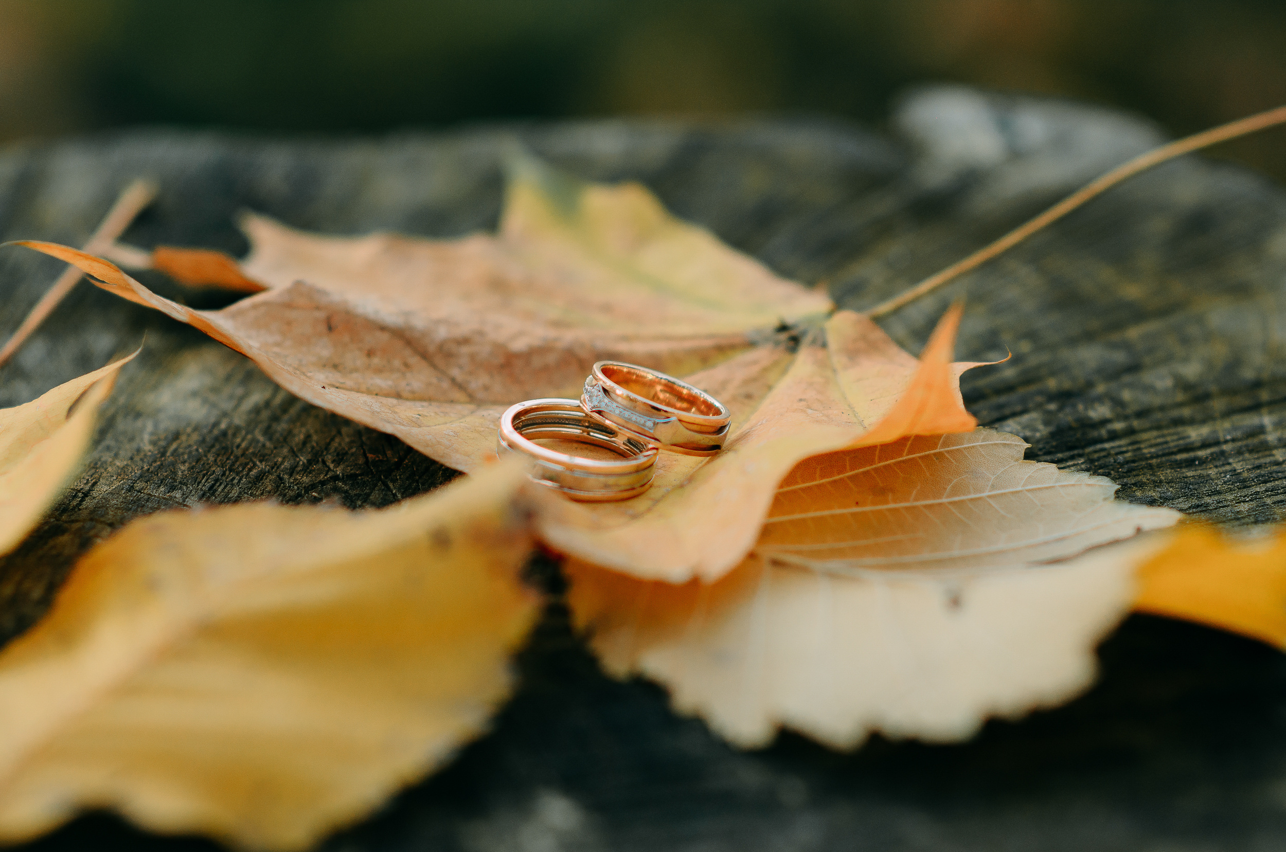 Елена и Александр. Свадебный и портретный фотограф в Белгороде Павел Яновский