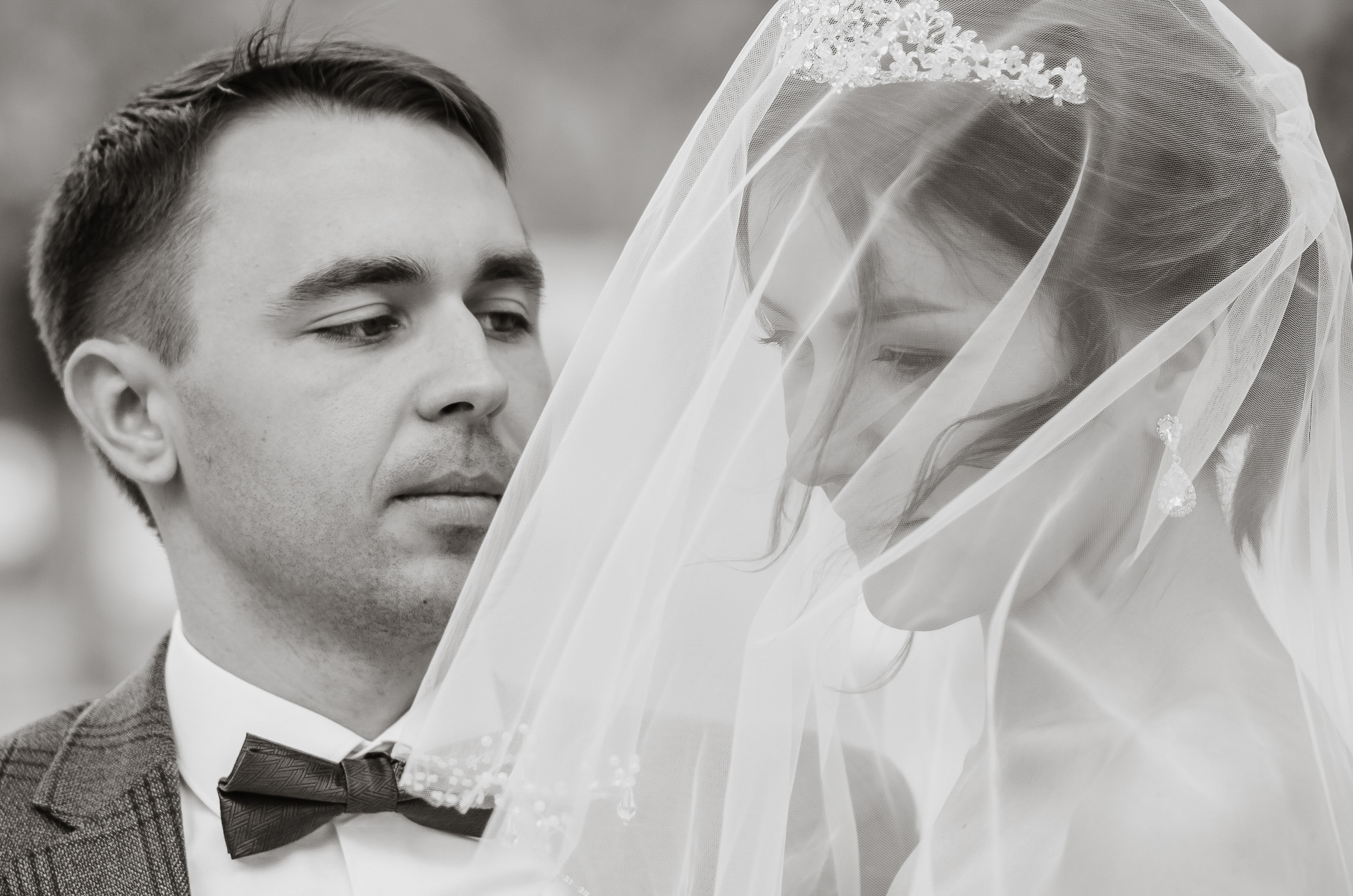 Елена и Александр. Свадебный и портретный фотограф в Белгороде Павел Яновский