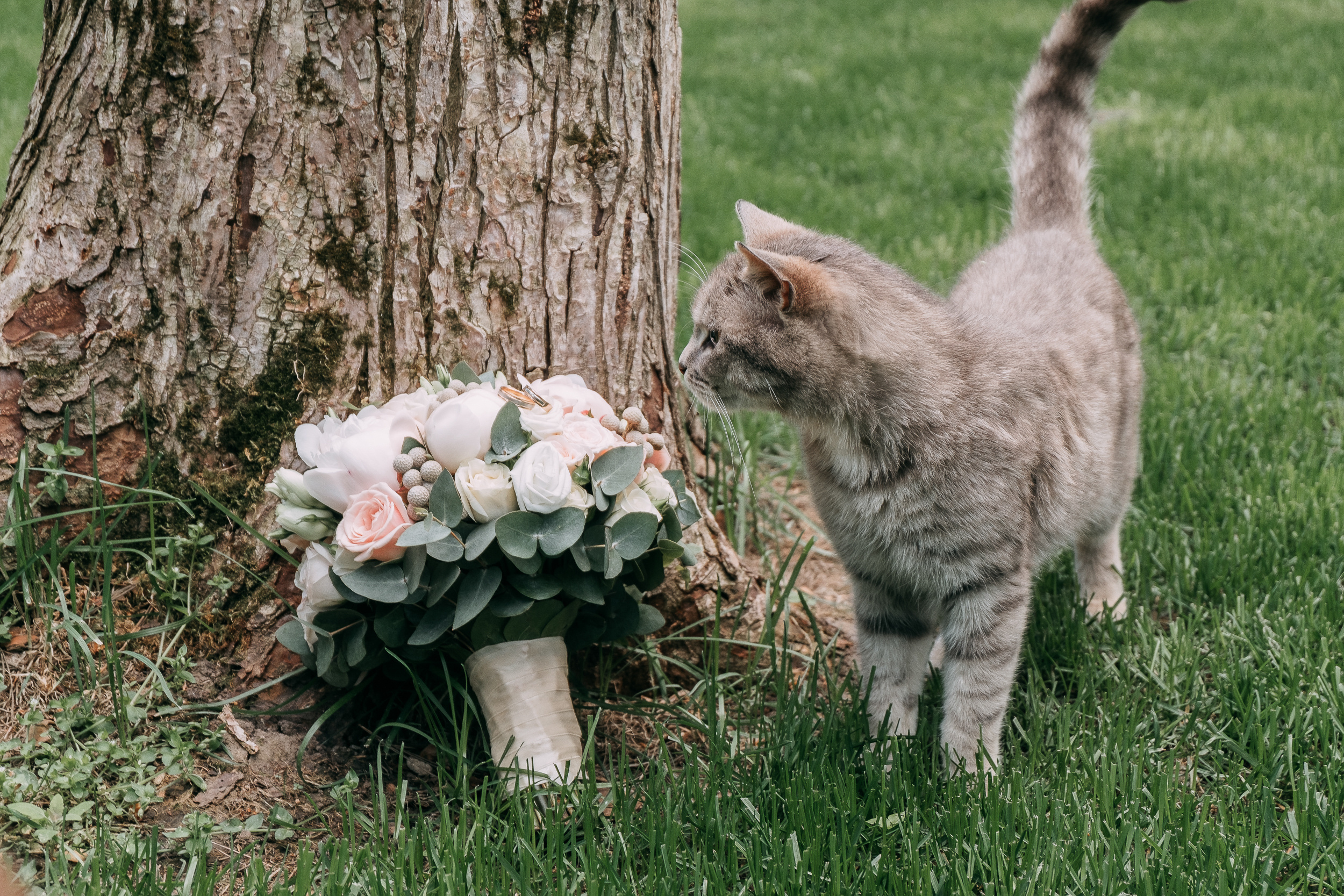 Свадьбы. Свадебный и портретный фотограф в Белгороде Павел Яновский