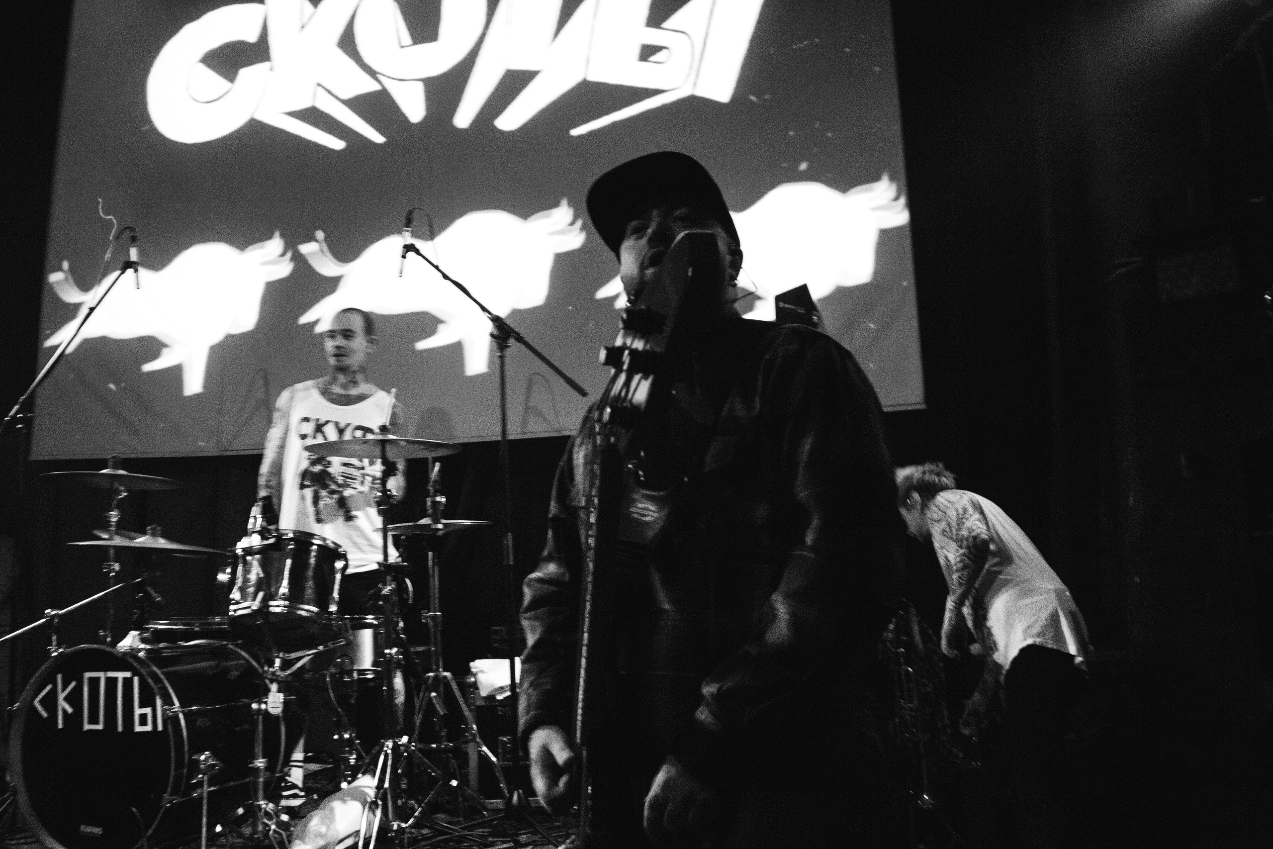 СКОТЫ | 11.12.2024 | ЛАСТОЧКА. VLADIS PISKUNOV | Концертные Фото |Репортажи