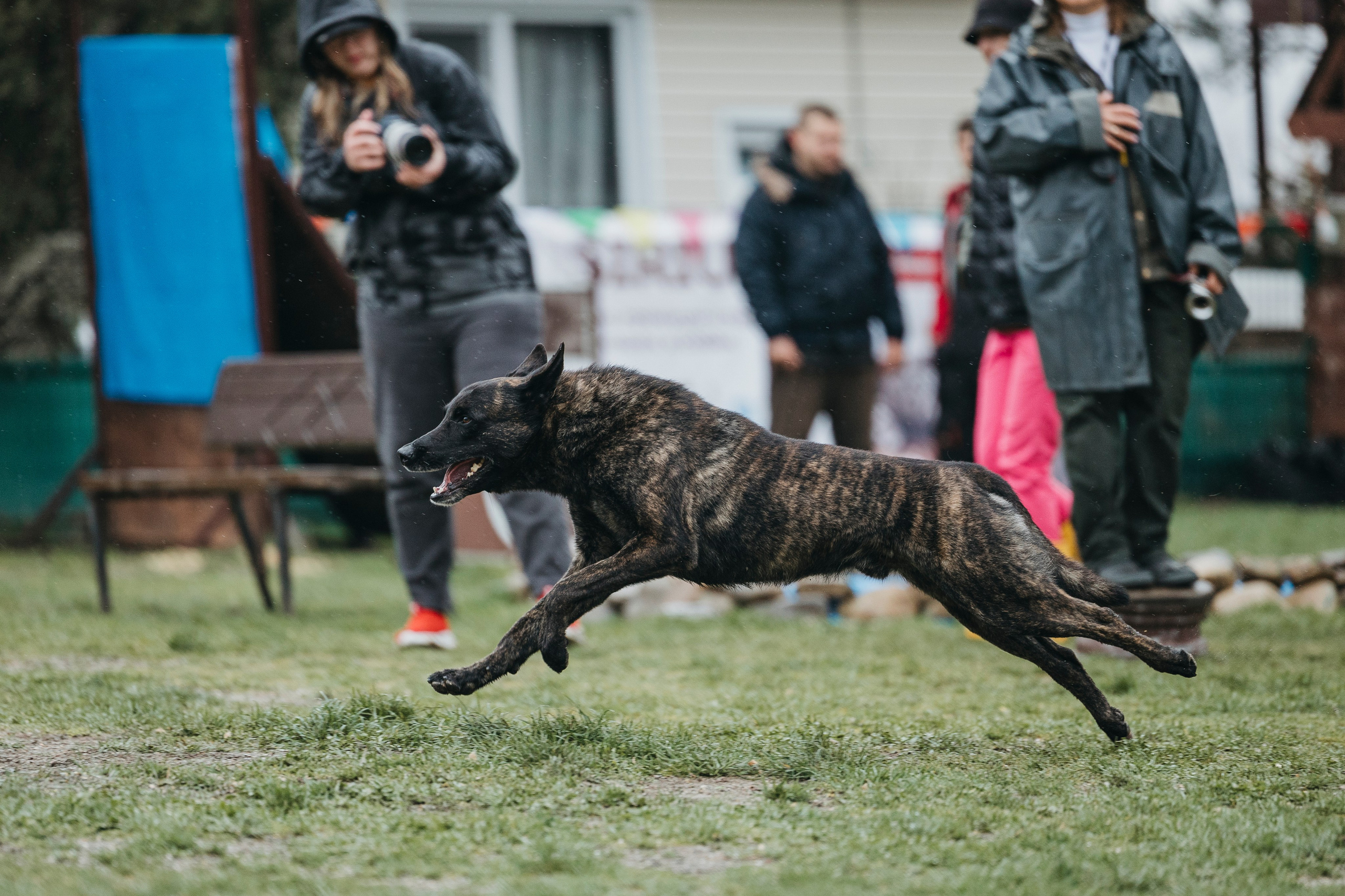 Геленджик Мондьоринг. Фотограф-анималист Анна Маринич
