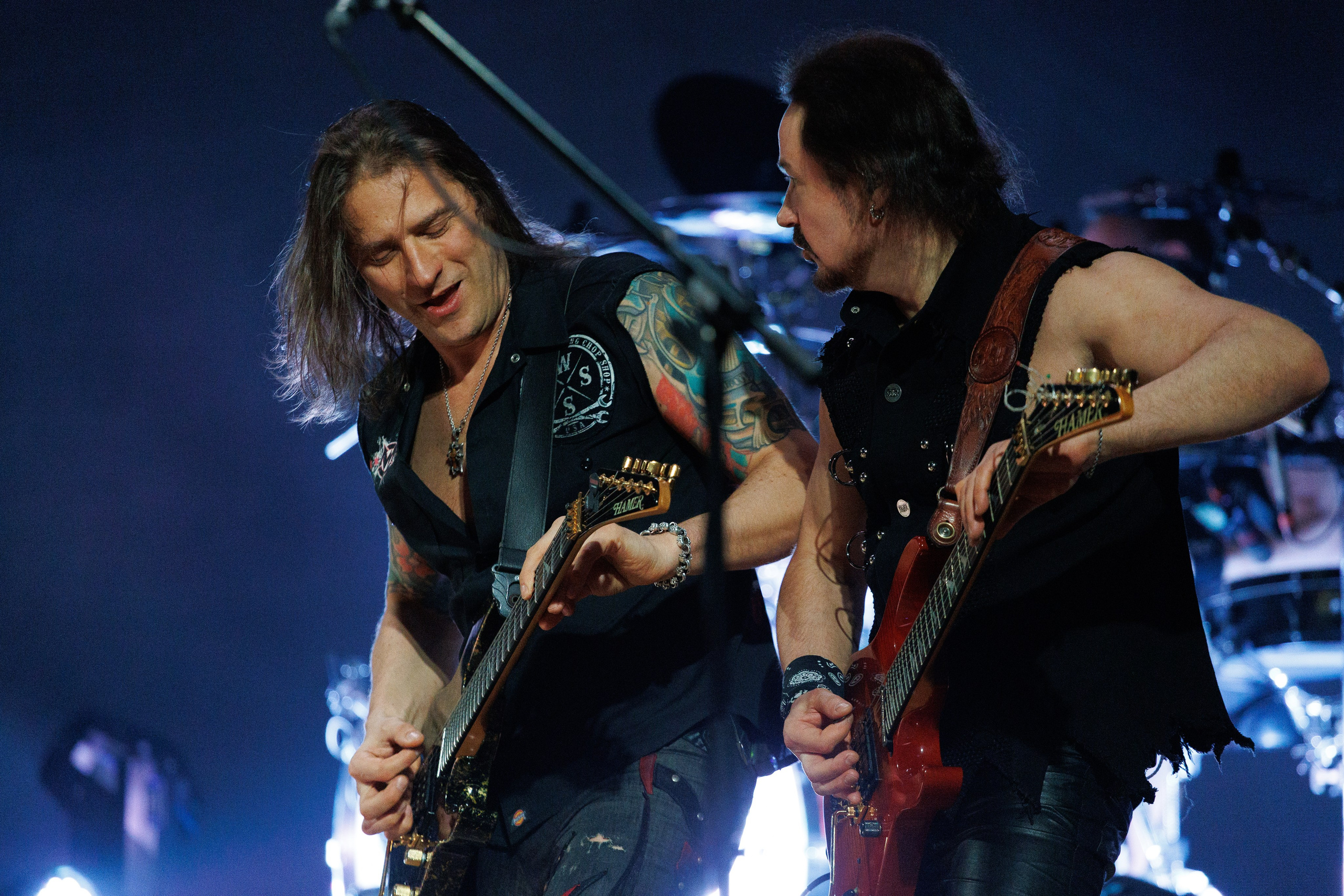 «КИПЕЛОВ». Photomantis