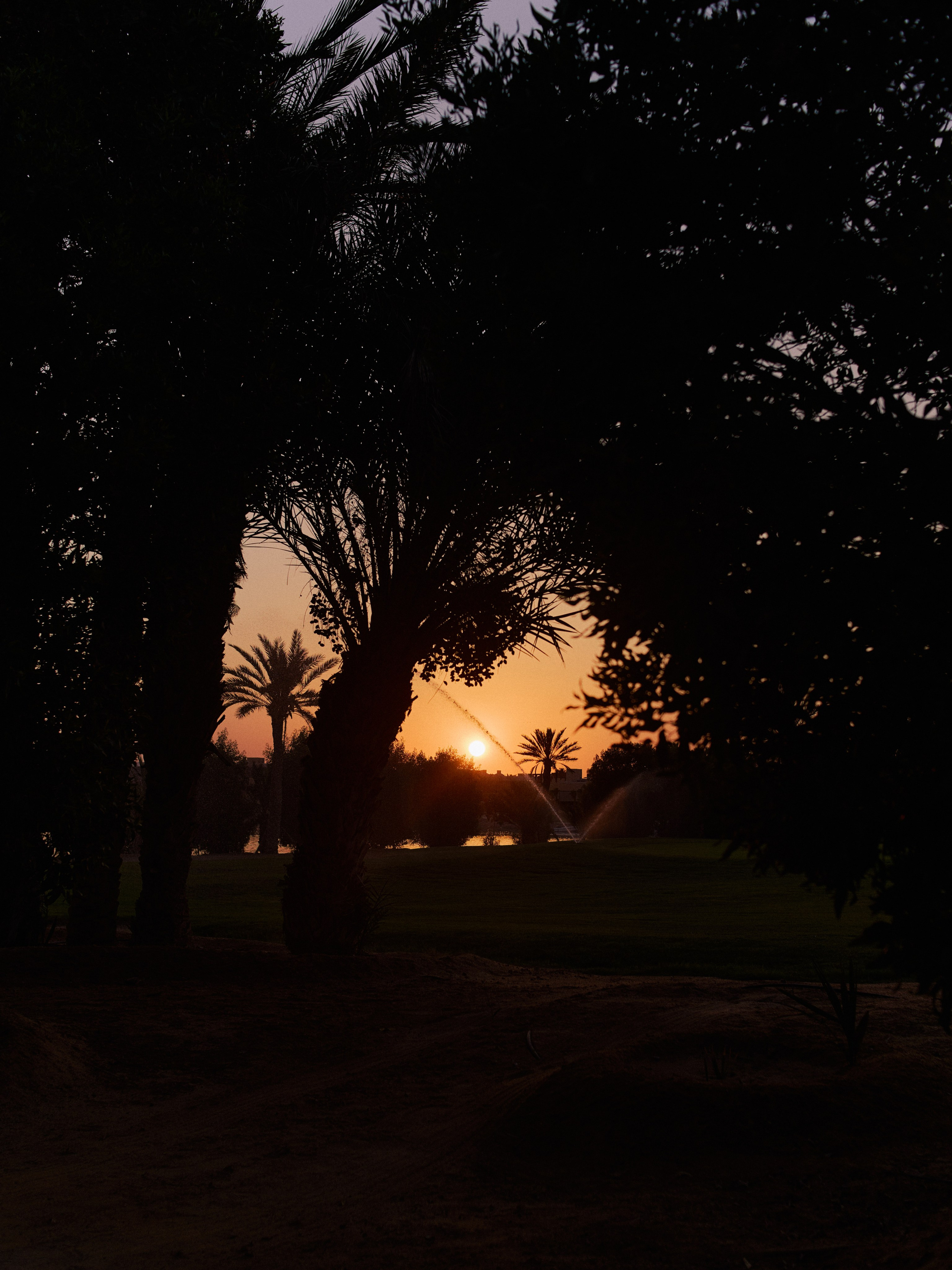 Другое 3. Jorgis Talè — photographer, kind person, teacher of arts and other mag