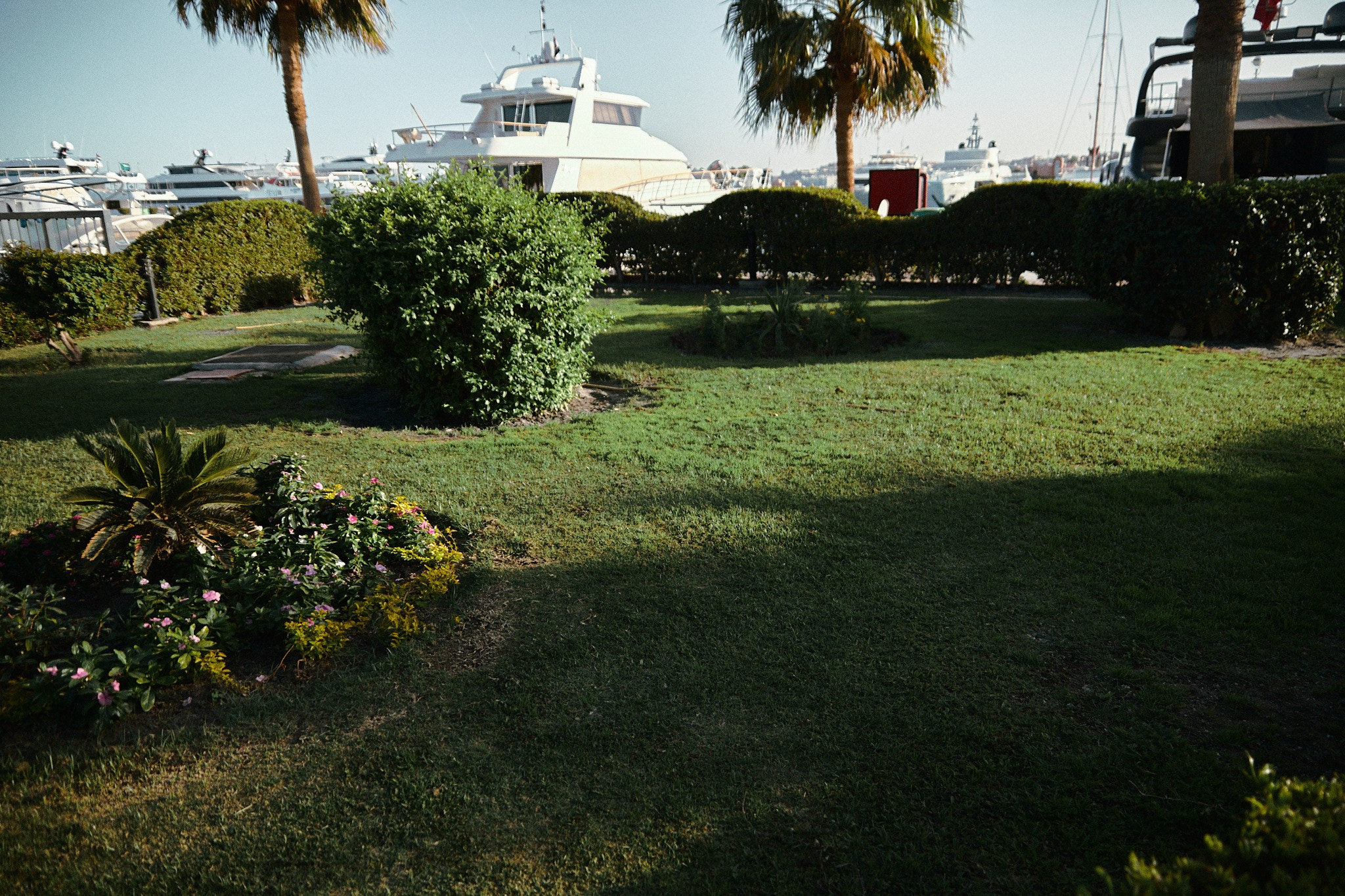 Другое. Jorgis Talè — photographer, kind person, teacher of arts and other mag