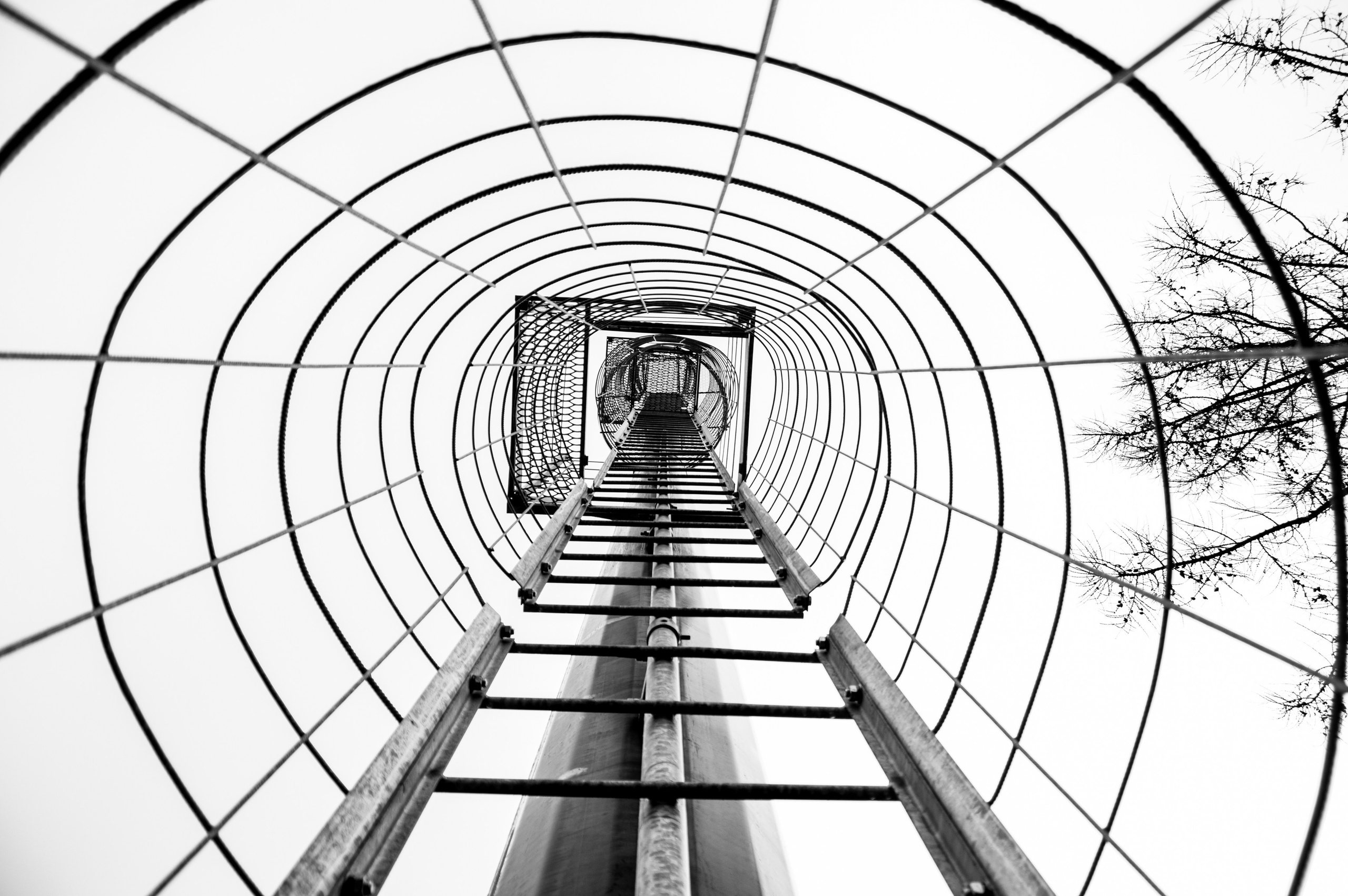 ЧЁРНО-БЕЛОЕ. Фотограф Николай Шишигин