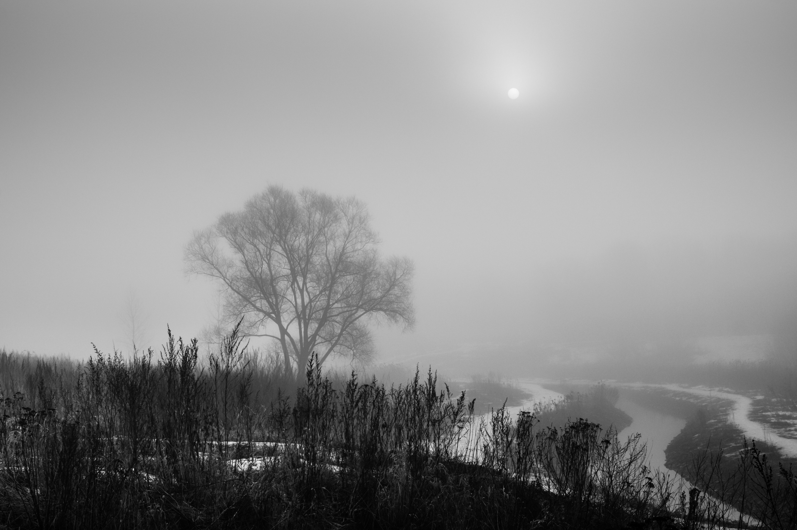 ЧЁРНО-БЕЛОЕ. Фотограф Николай Шишигин