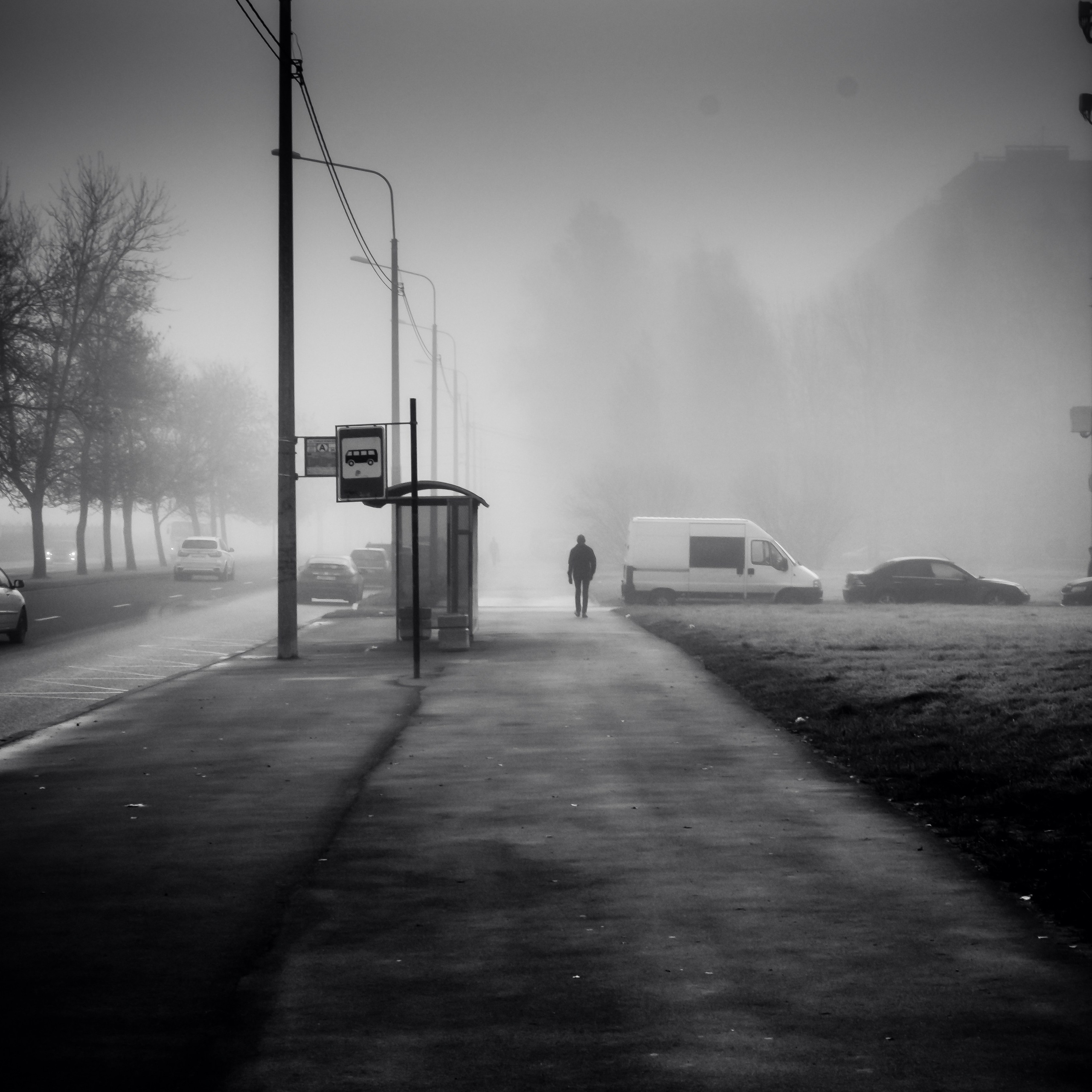 ЧЁРНО-БЕЛОЕ. Фотограф Николай Шишигин