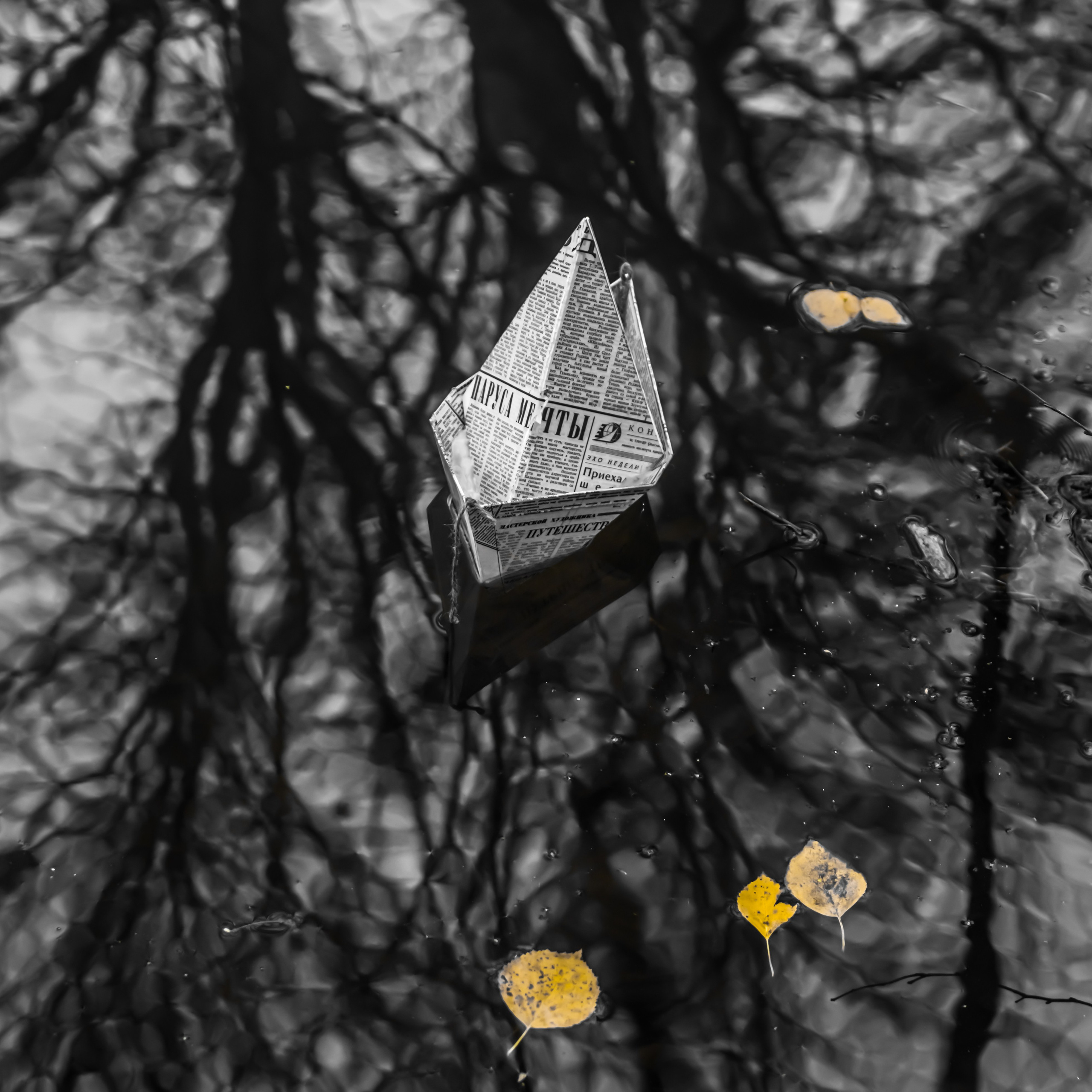 РАЗНОЕ. Фотограф Николай Шишигин