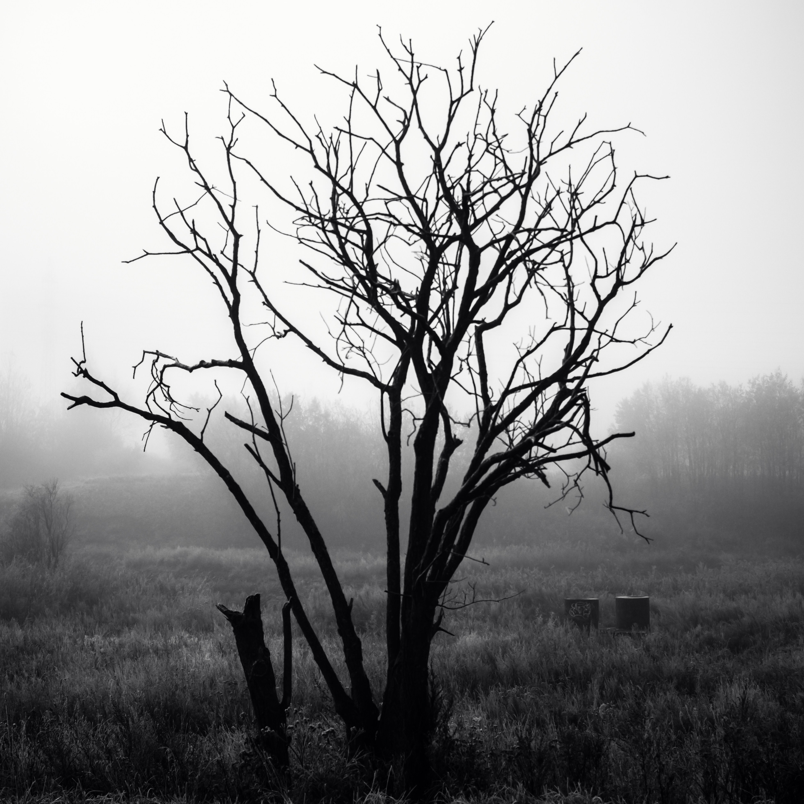 ЧЁРНО-БЕЛОЕ. Фотограф Николай Шишигин