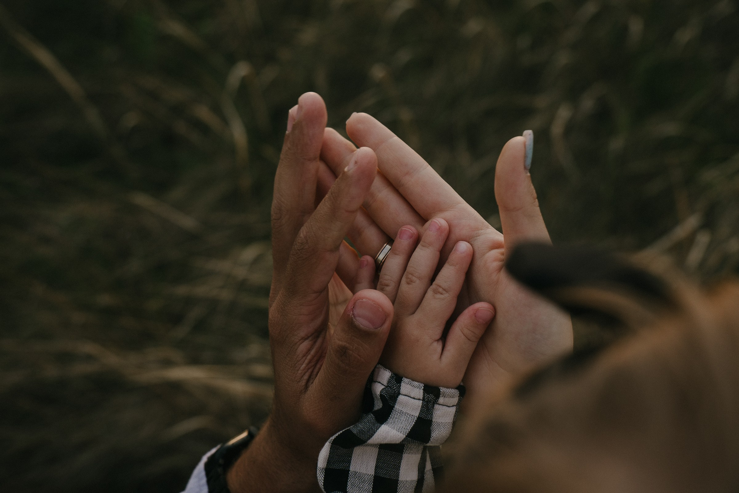 Совместное произведение…. Свадебный и семейный фотограф в Абакане Василевский Алексей