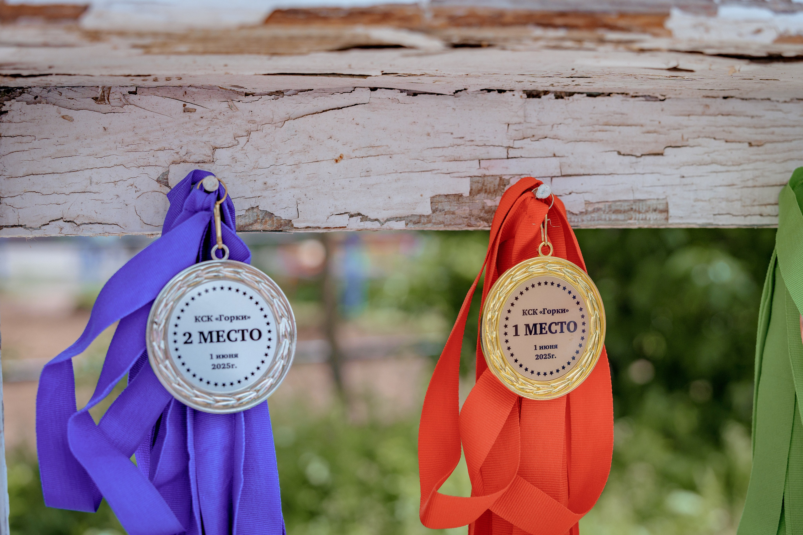 Конный клуб Горки. Портретный и семейный фотограф в Москве/Видное