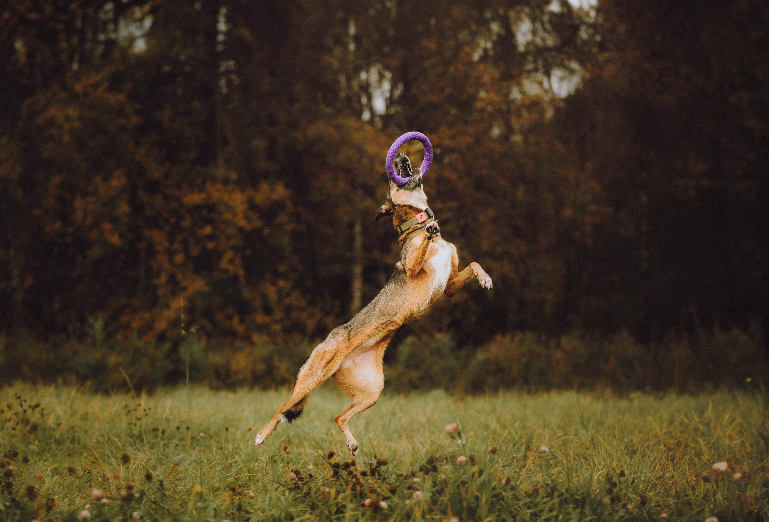 Аня, Нео и Луна