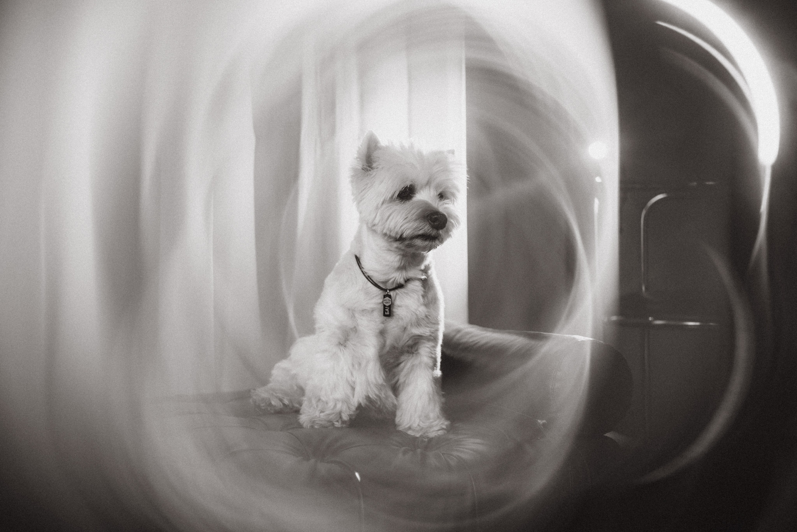 Вера и Бакс