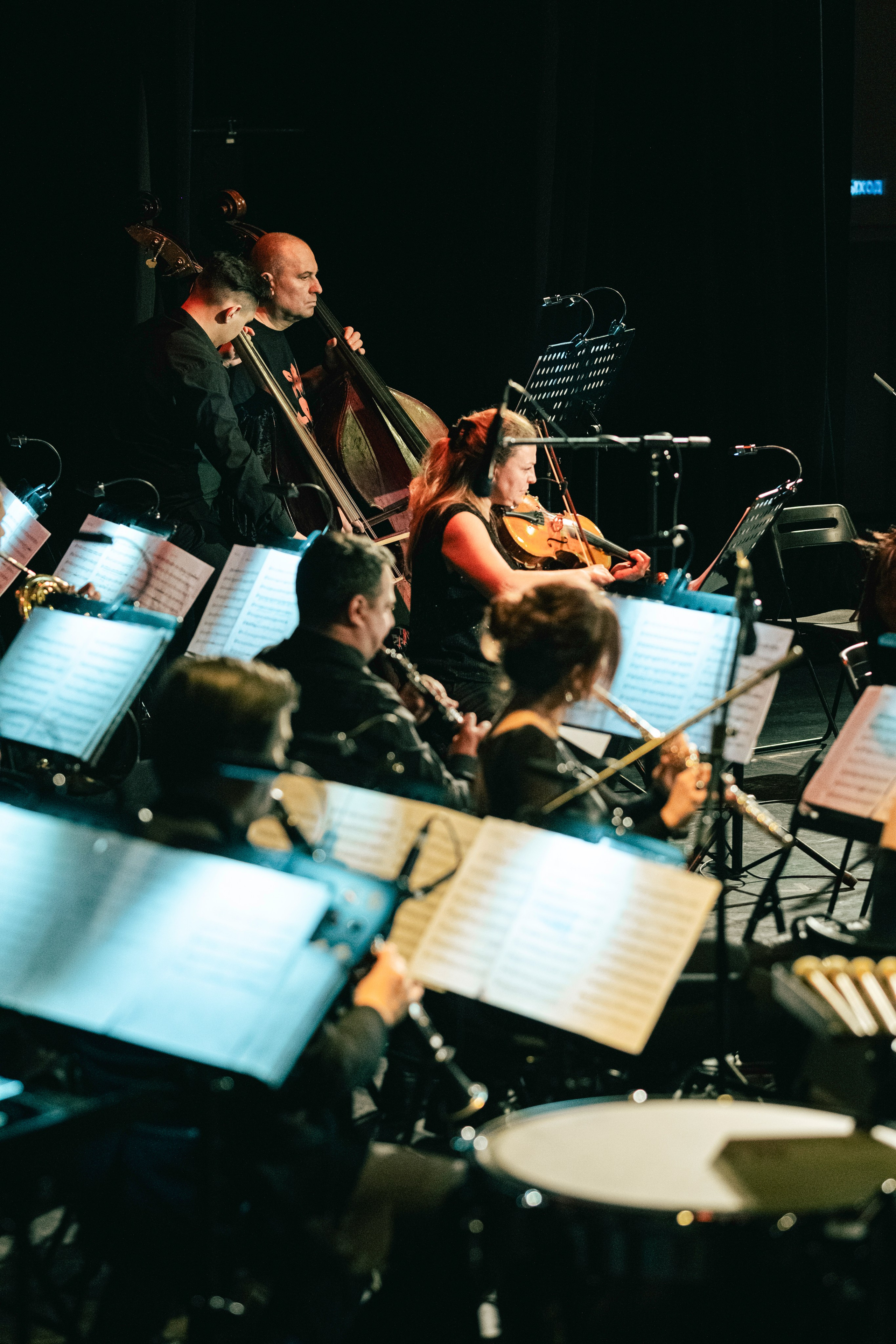 Metalliada (симфонический оркестр). Концертный фотограф в Москве Алексей Вовк
