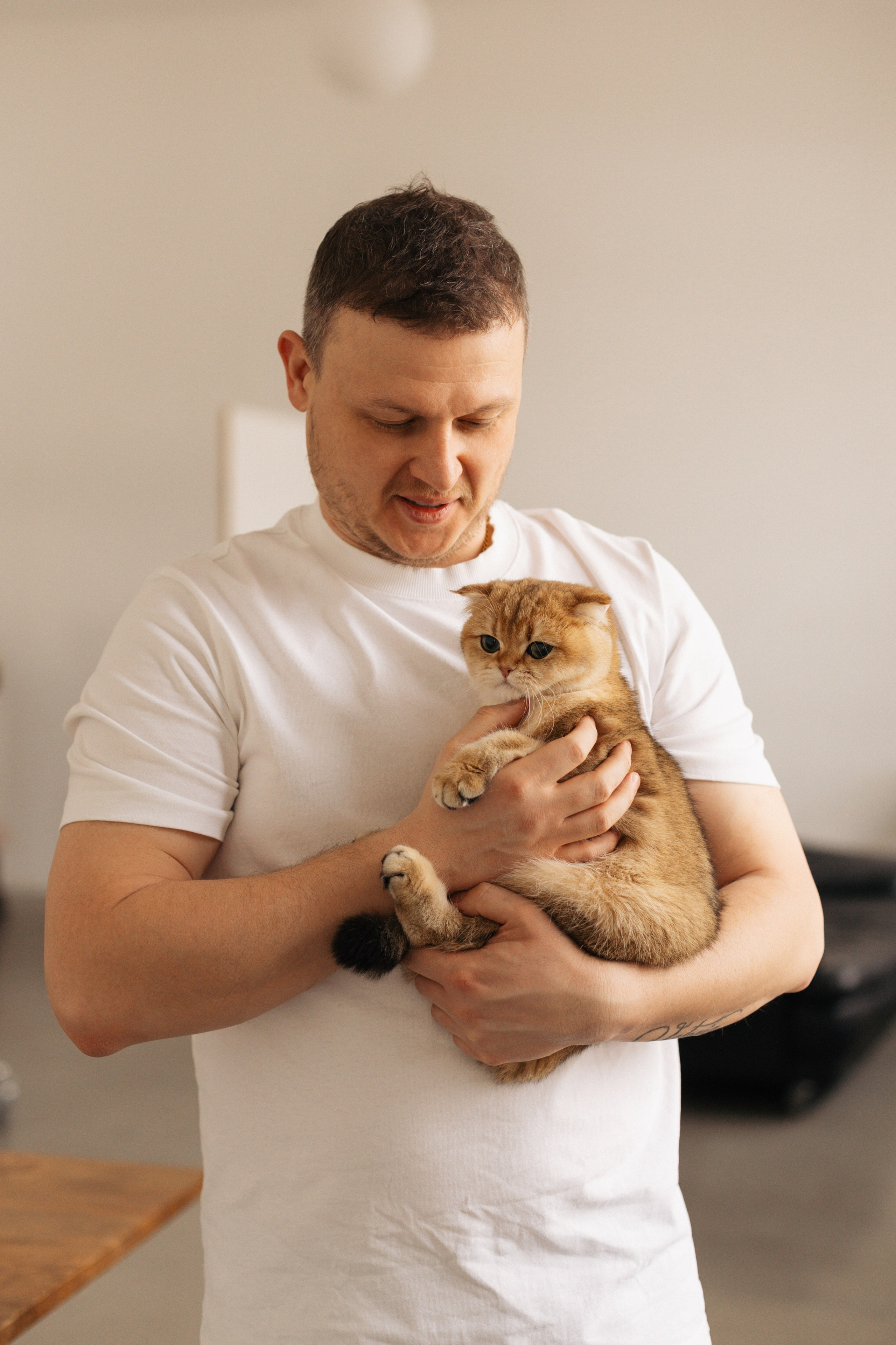 Фотосессия беременности с кошкой — фотограф Кристина Филимонова