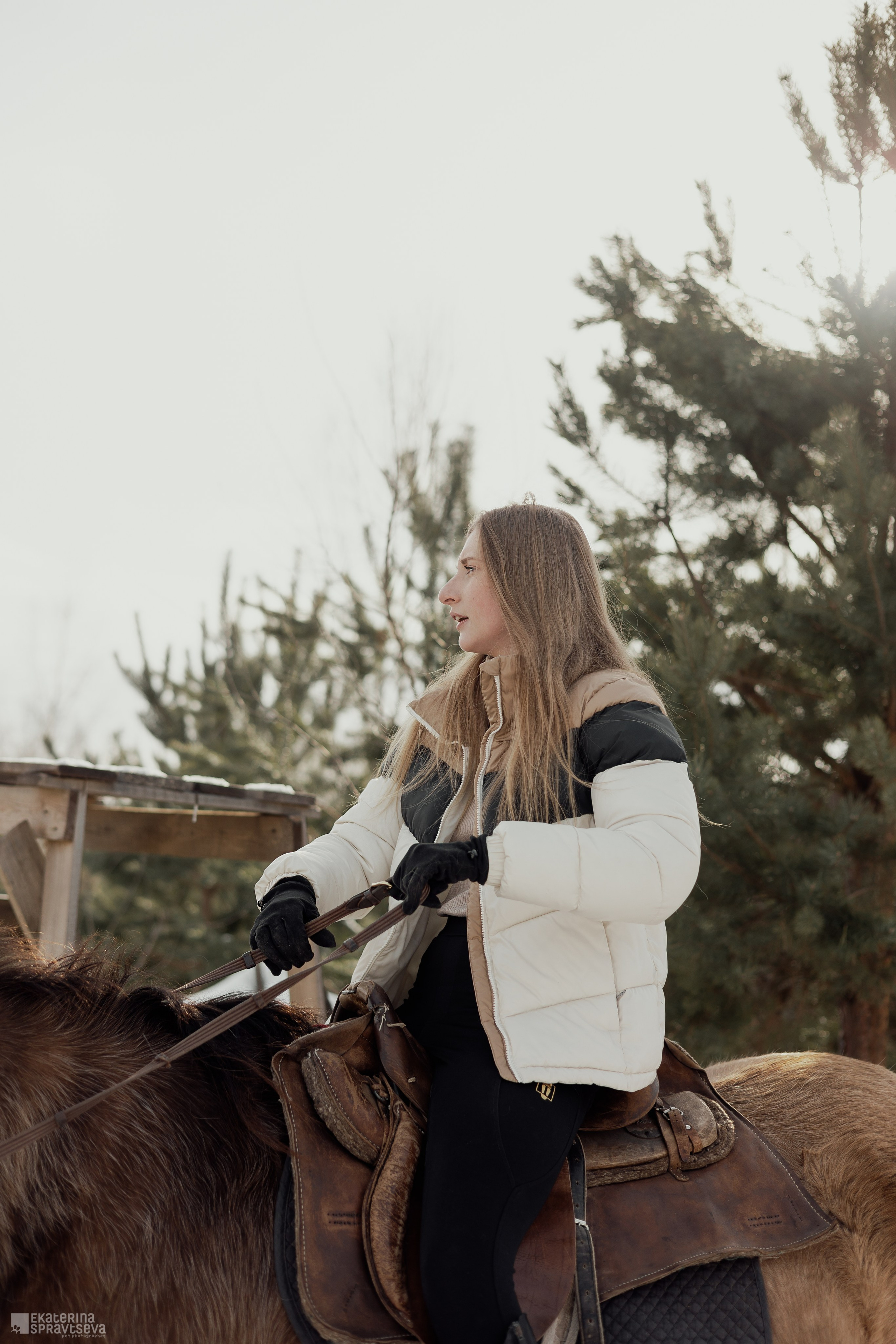 Среди грив и копыт. Фотограф Анималист Екатерина Справцева в Нижнем Новгороде