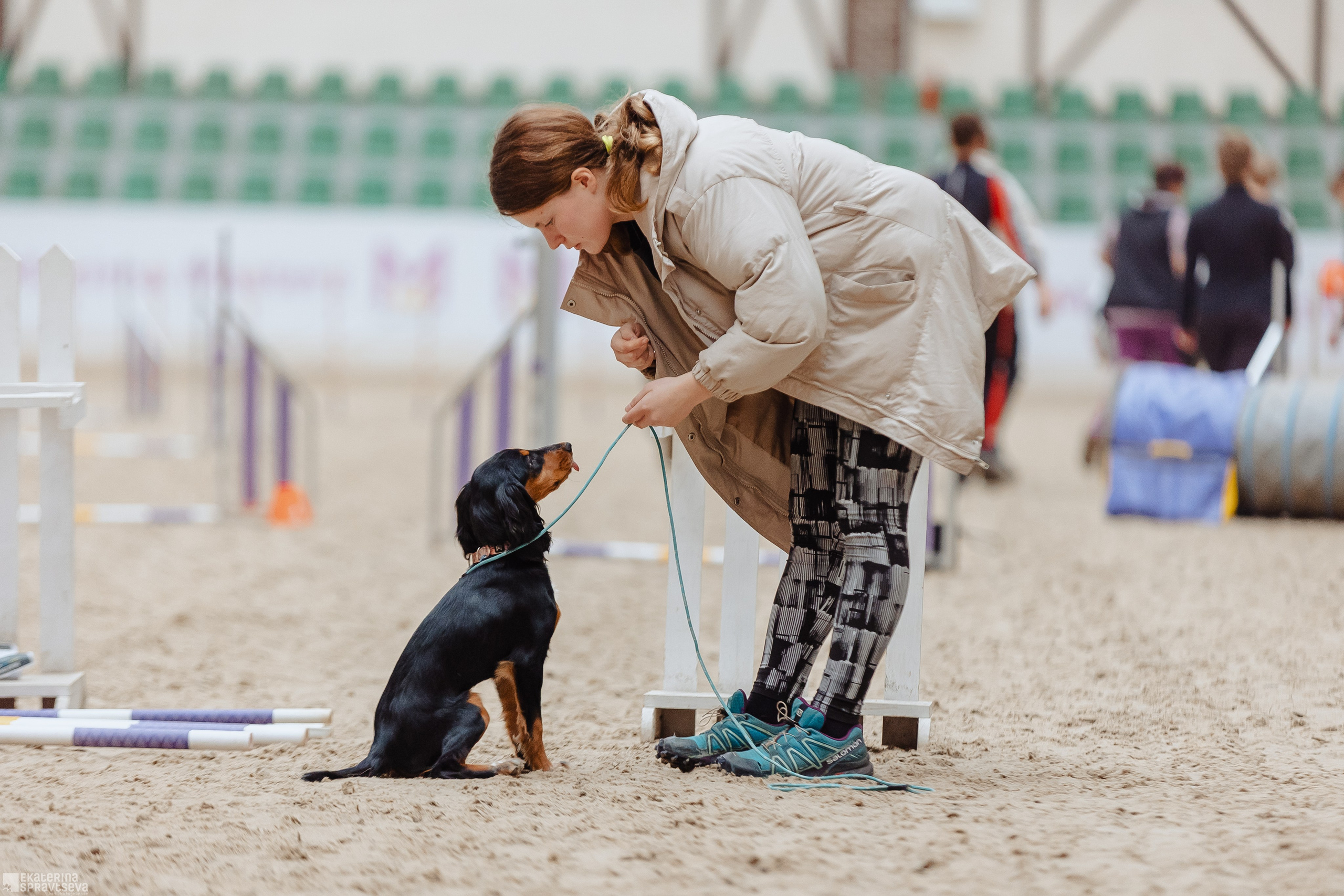 ЧРКФ Аджилити в Максима. Фотограф Анималист Екатерина Справцева в Нижнем Новгороде