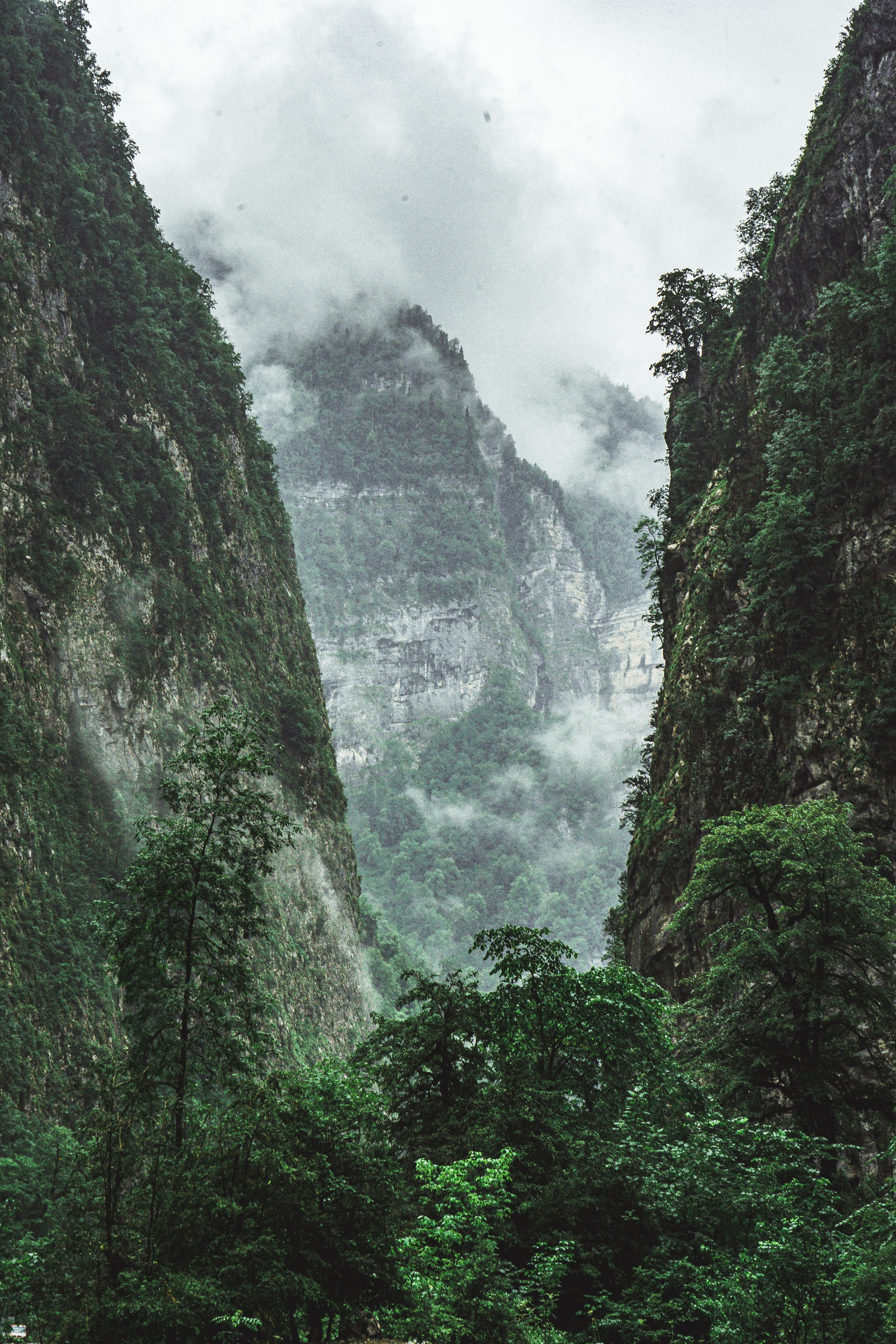 Натура. Владислав Кожух | Фотограф | Видеограф | Режиссёр