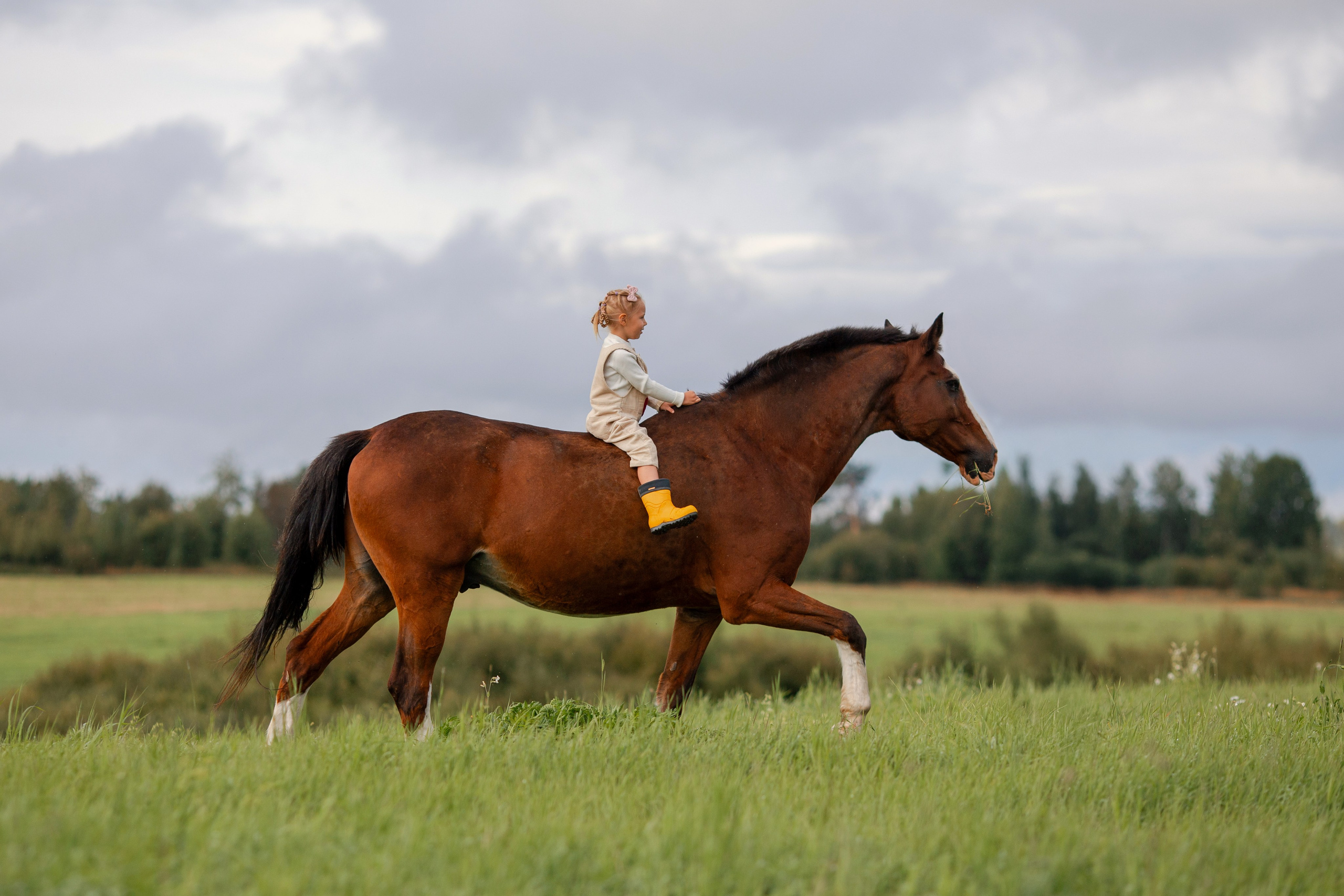 Детская фотосессия на ферме в СПб