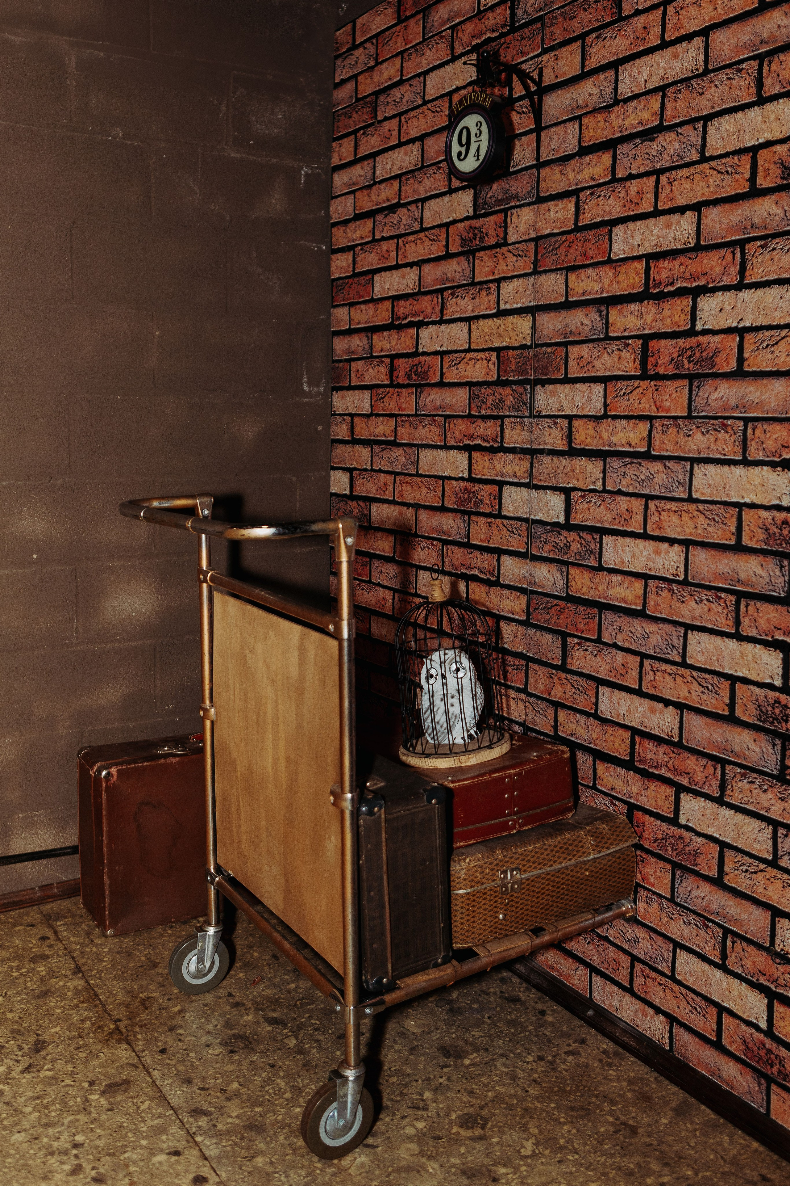 День рождения в стиле Гарри Поттера. Фотограф в Красноярске по выгодной цене