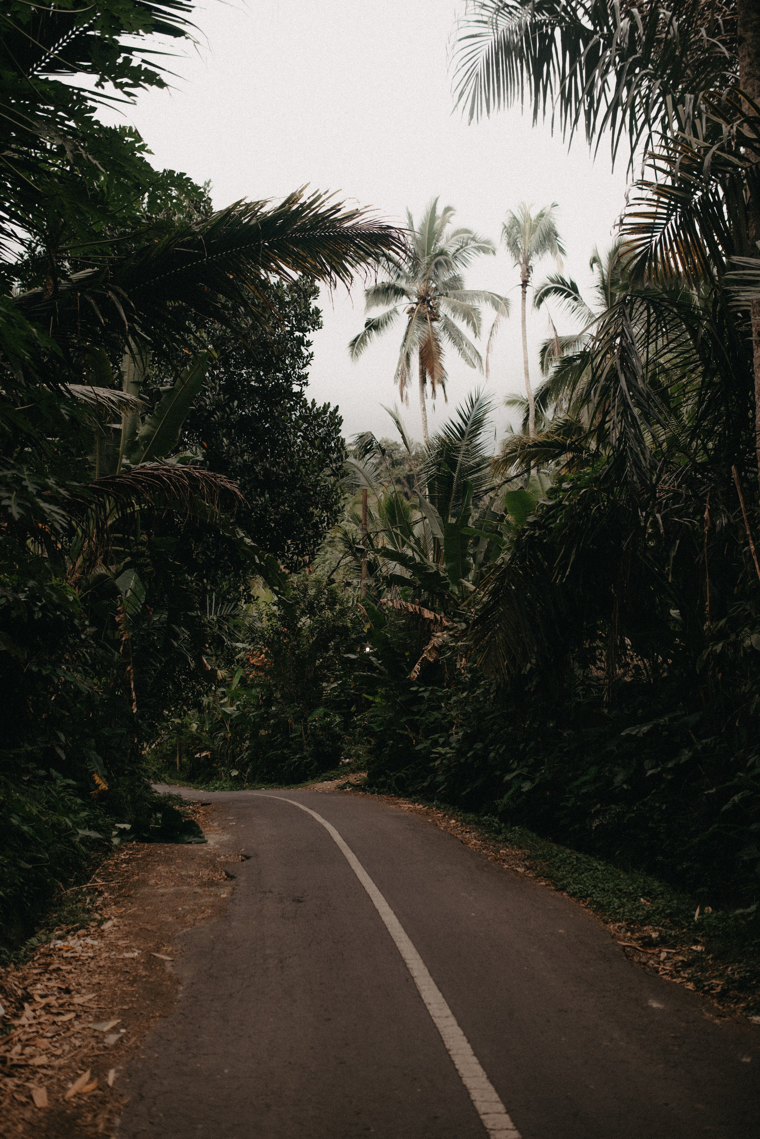 Waterfall. Главная