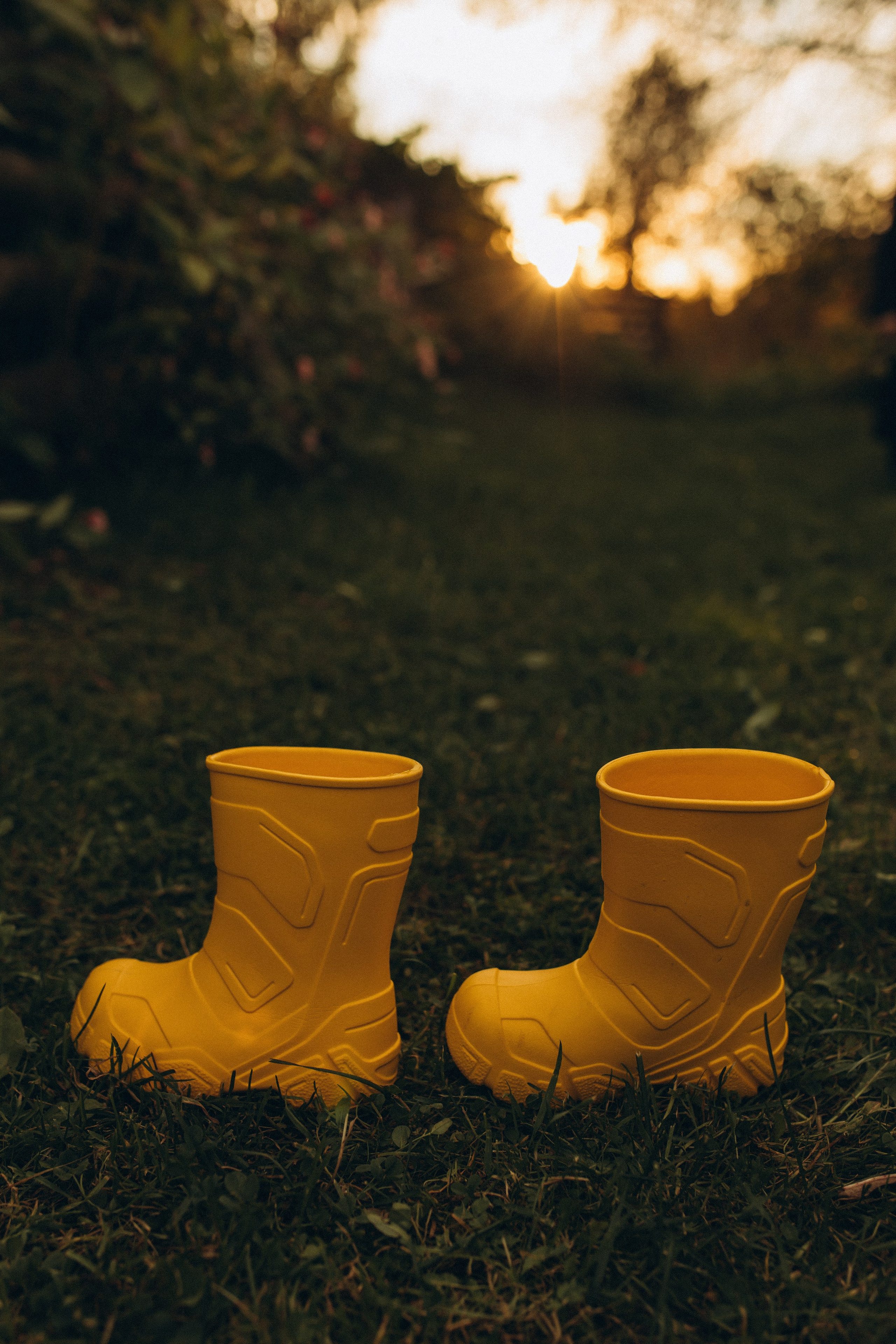 Алена и Мирон. Услуги