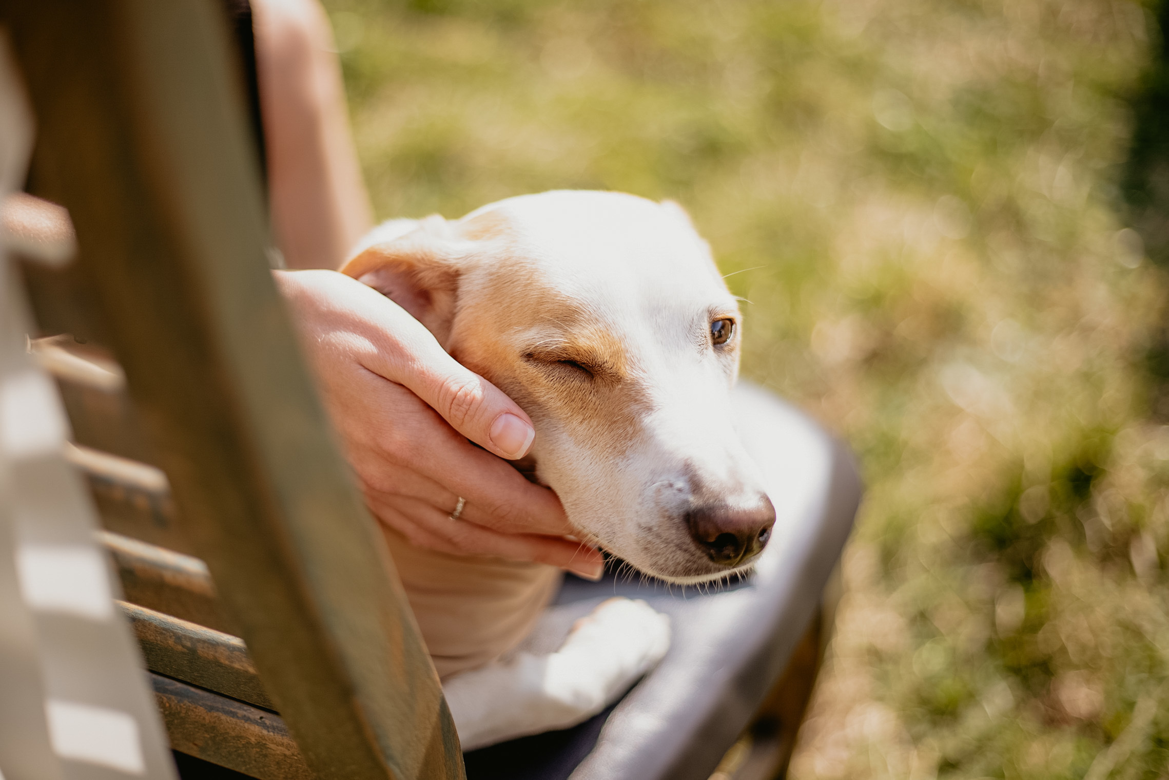 Милена&Влад. Фотограф в Санкт Петербурге и Москве Анастасия Сиволод