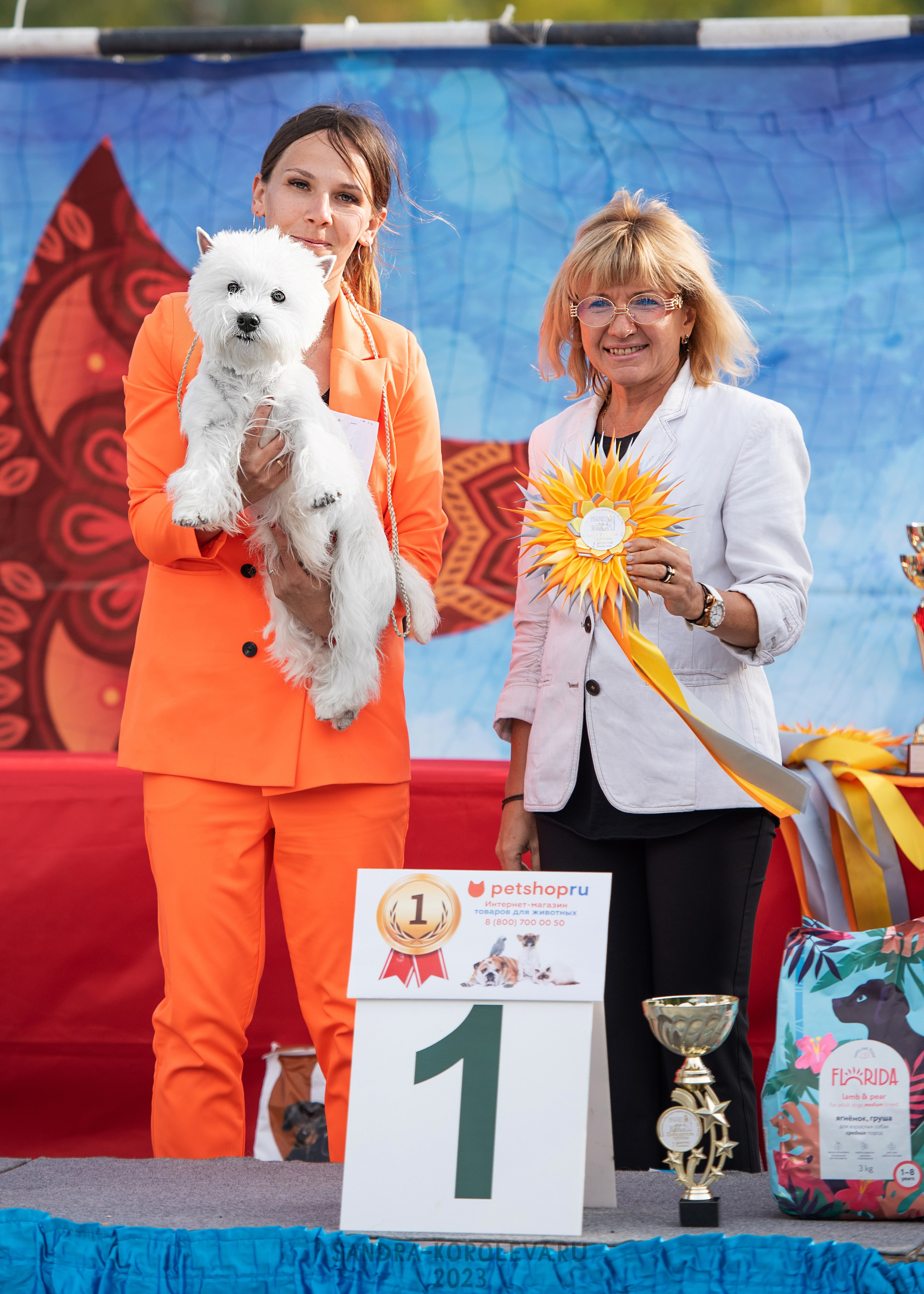 Выставка собак Тюмень 02.09.2023. Дог-фотограф в Тюмени Александра Королева