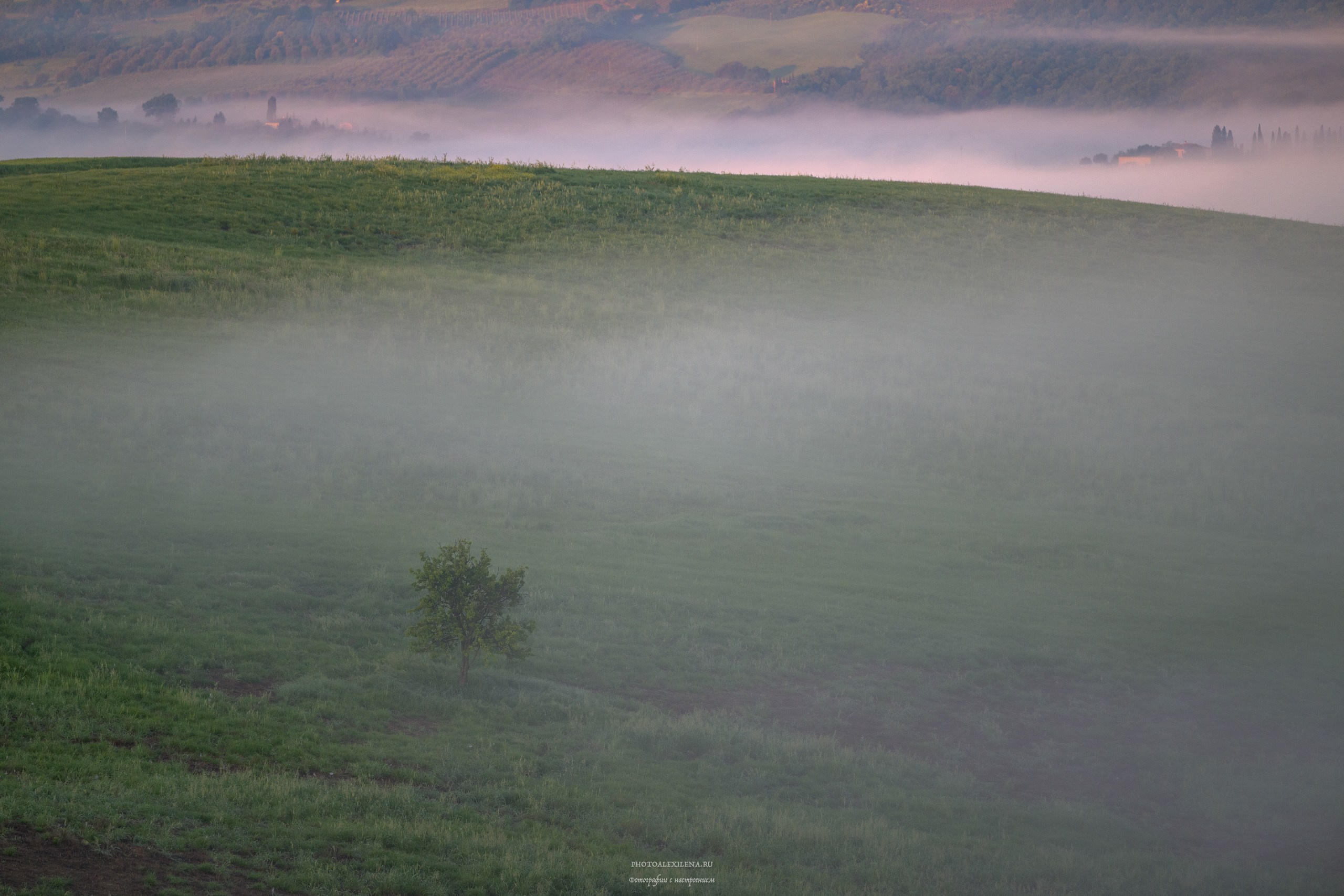Волшебное утро в Тоскане. Авторские стильные фотокартины