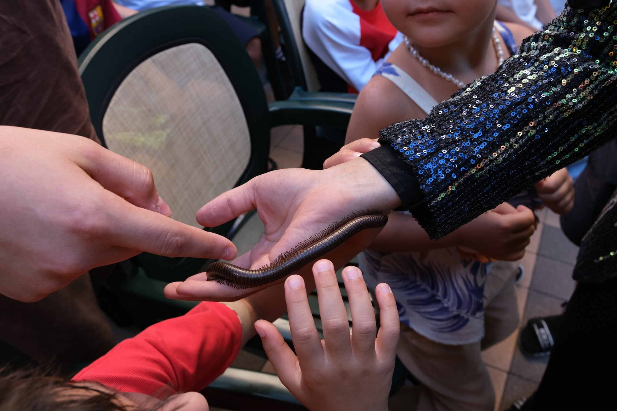 Фото и видео съемка мероприятия. Фото и видеосъемка