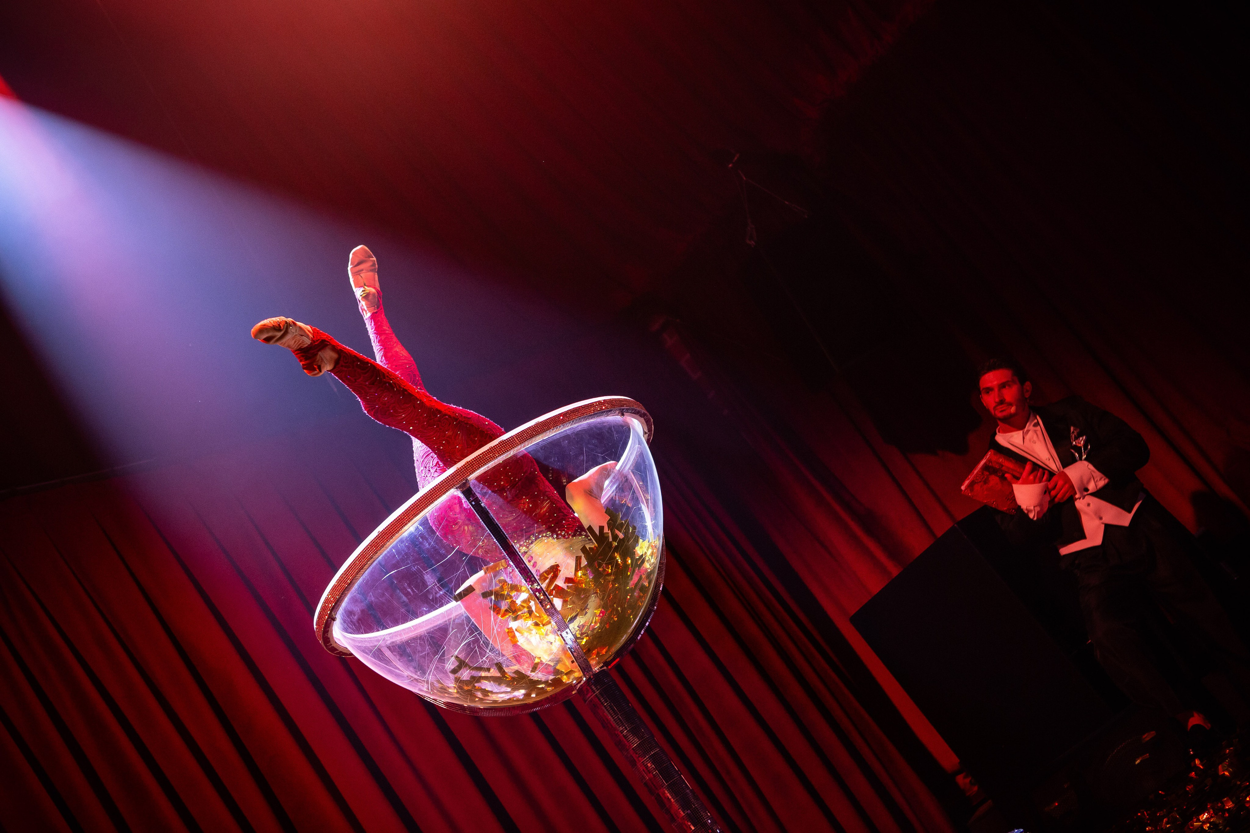 Цирковое шоу. Видеограф Добромыслов