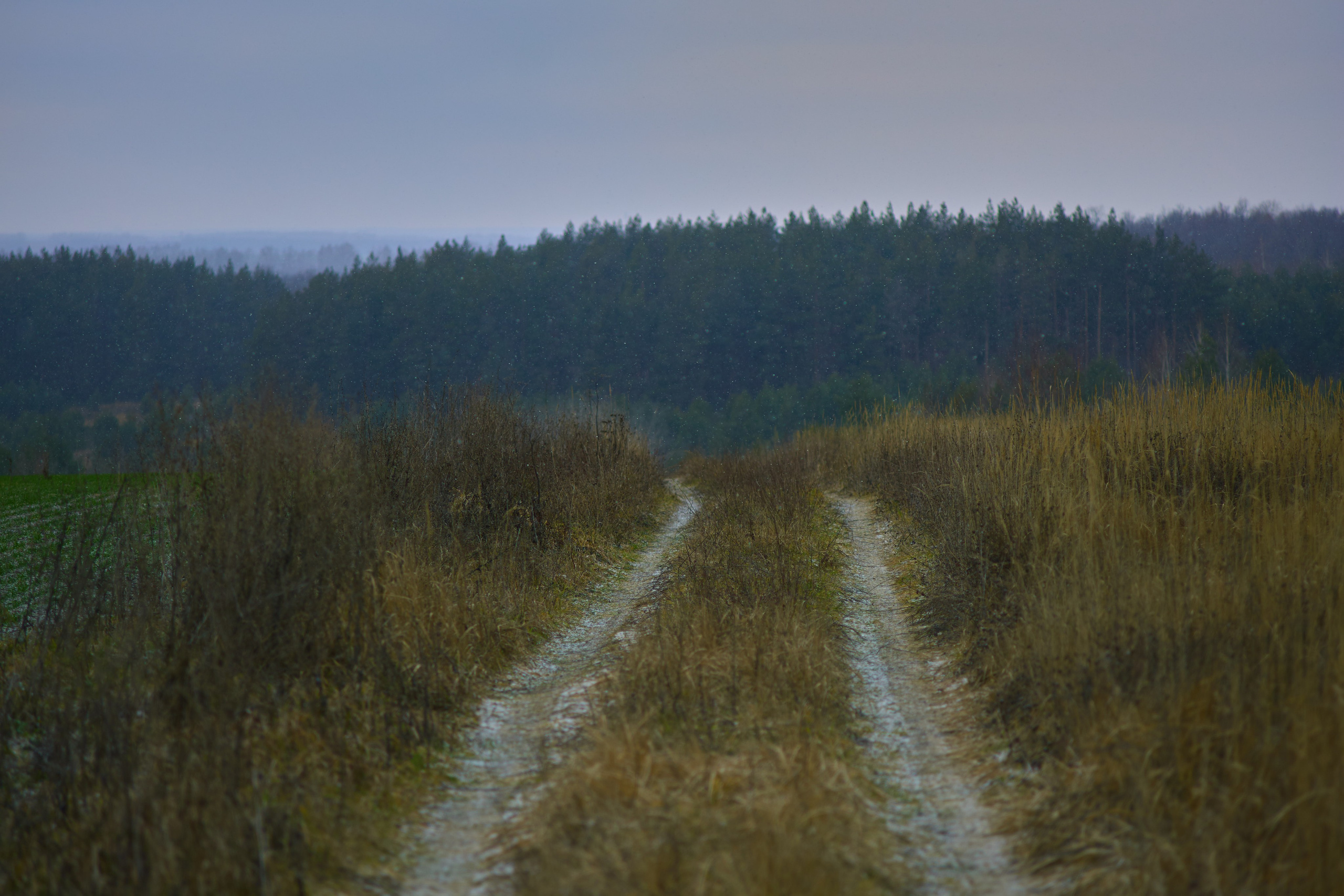 Пейзажная фотосъемка. Владимир Суздалов (ProMaXe) — Портретный фотограф, тематические фотосессии в Чебоксарах