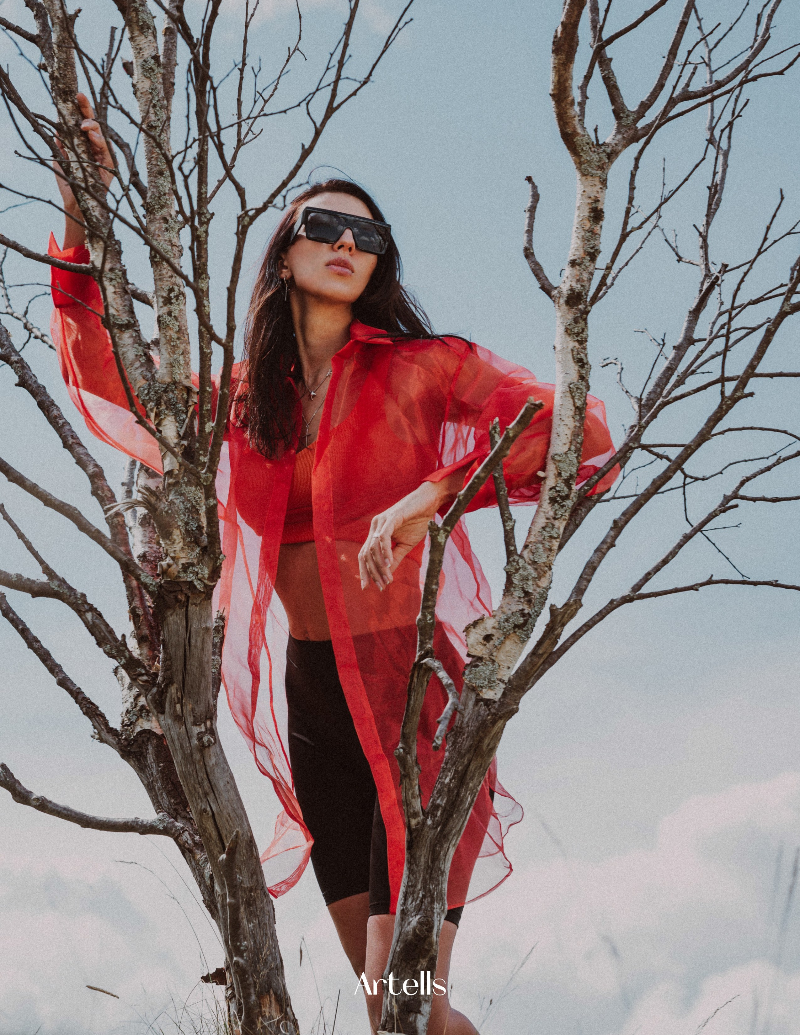 Публикации. Мир живой фотографии о Вас и для Вас