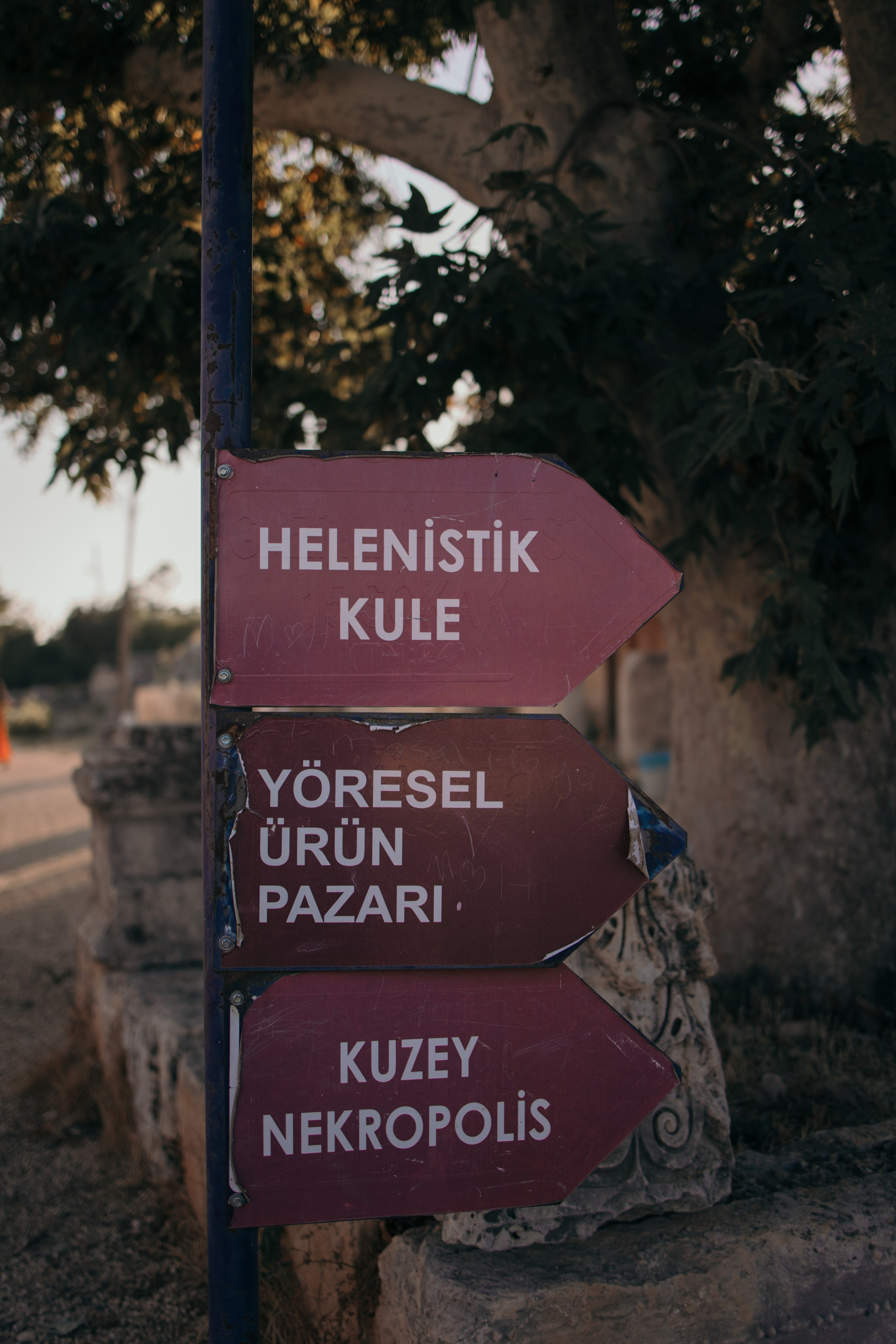 Street photo. Photographer in Turkey — Dari N